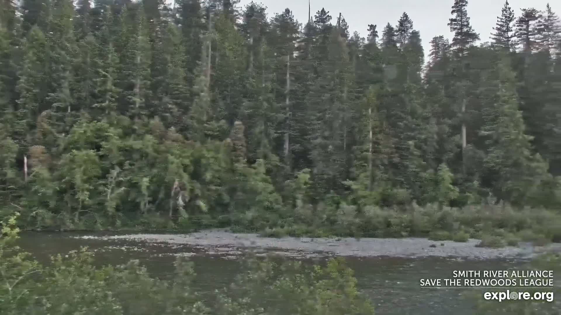 Crescent City, Jedediah Smith Redwoods State Park & Smith River Live Cam - Crescent City, Del Norte, California, USA