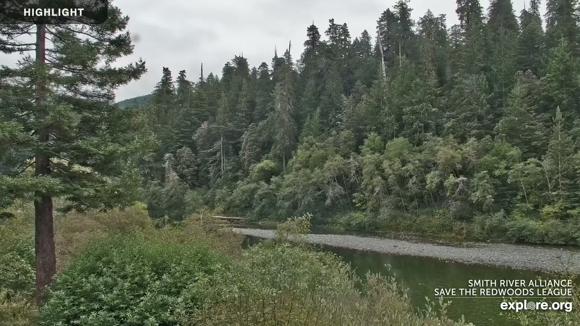 Crescent City, Jedediah Smith Redwoods State Park & Smith River Live Cam - Crescent City, Del Norte, California, USA