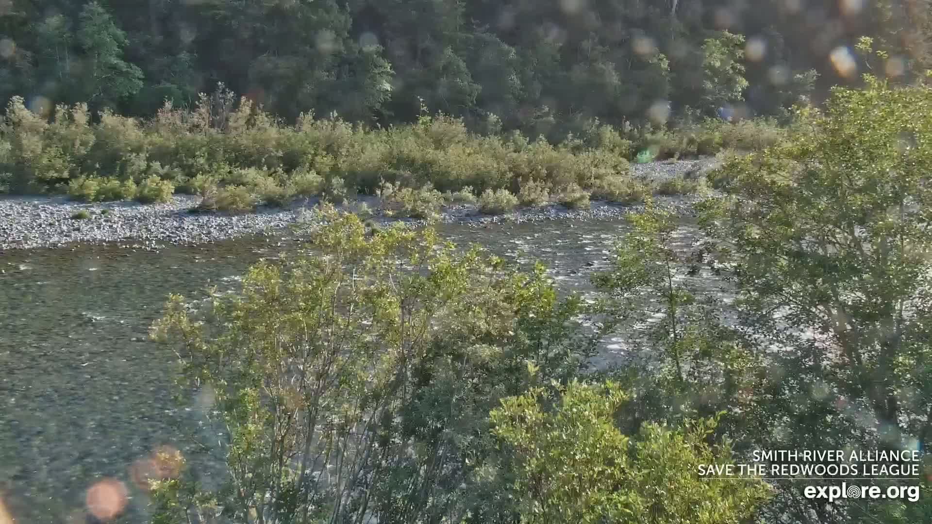 A gently flowing river meanders through a lush green landscape under a bright, sunny sky.