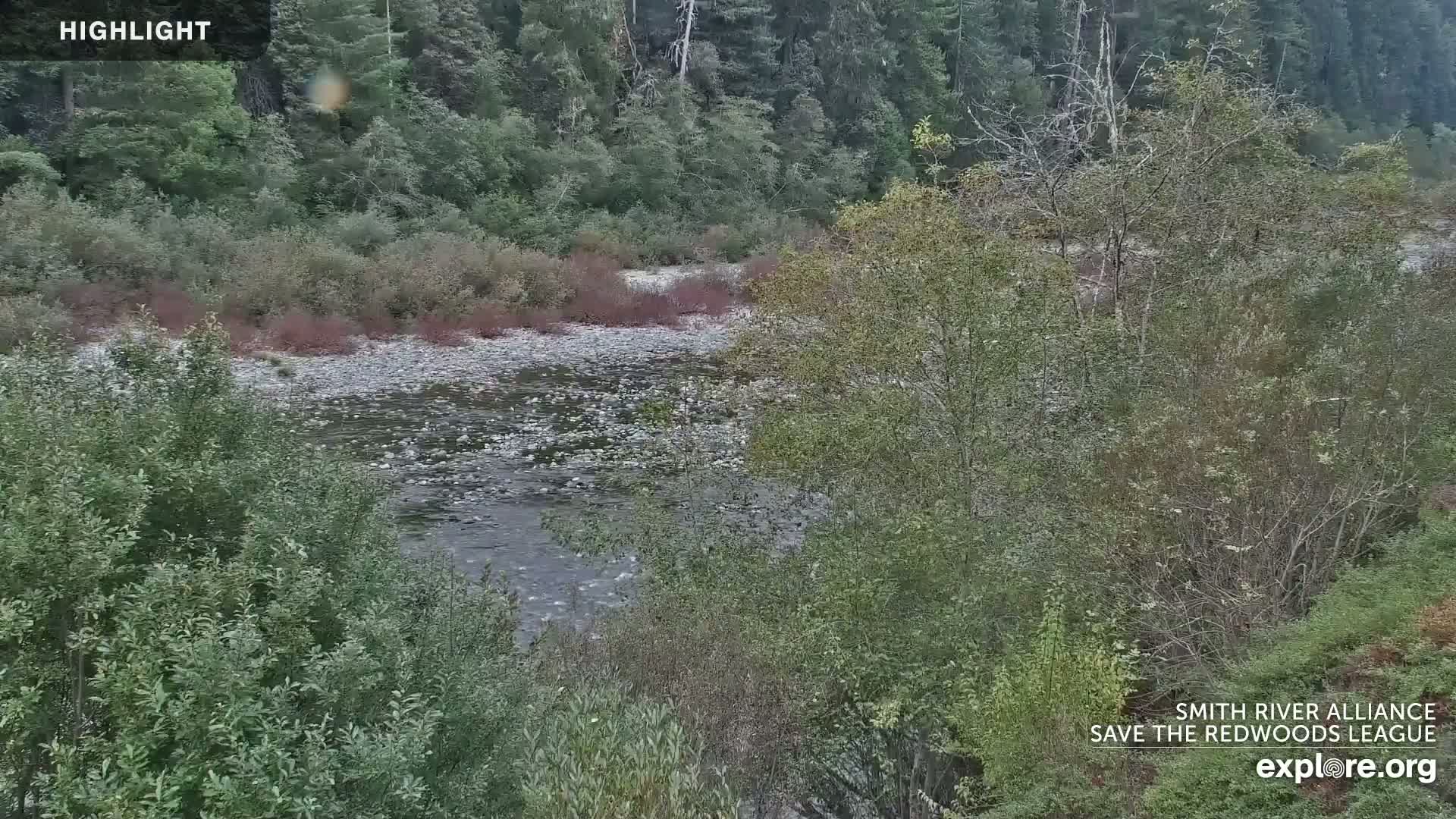 Crescent City, Jedediah Smith Redwoods State Park & Smith River Live Cam - Crescent City, Del Norte, California, USA