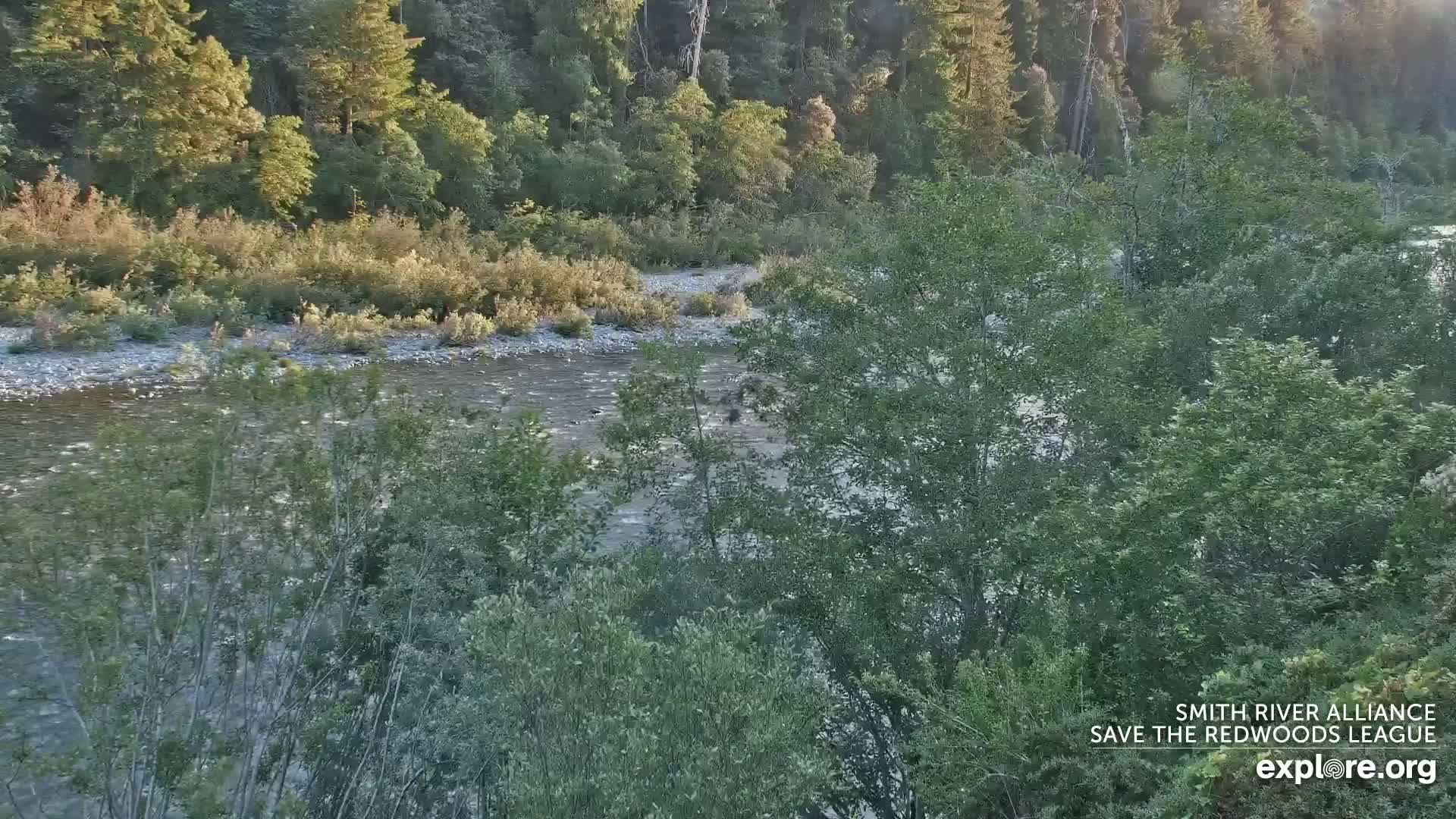 Crescent City, Jedediah Smith Redwoods State Park & Smith River Live Cam - Crescent City, Del Norte, California, USA