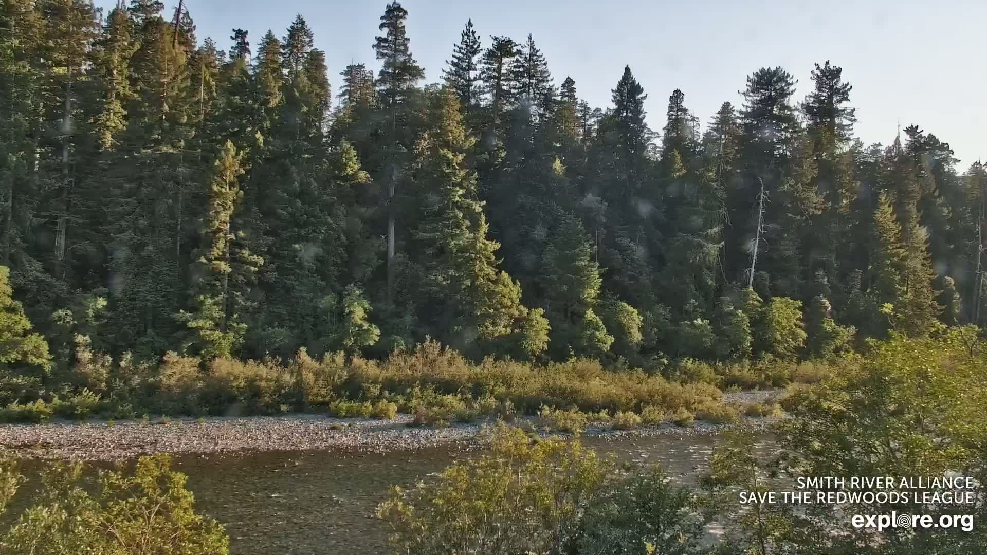 Crescent City, Jedediah Smith Redwoods State Park & Smith River Live Cam - Crescent City, Del Norte, California, USA