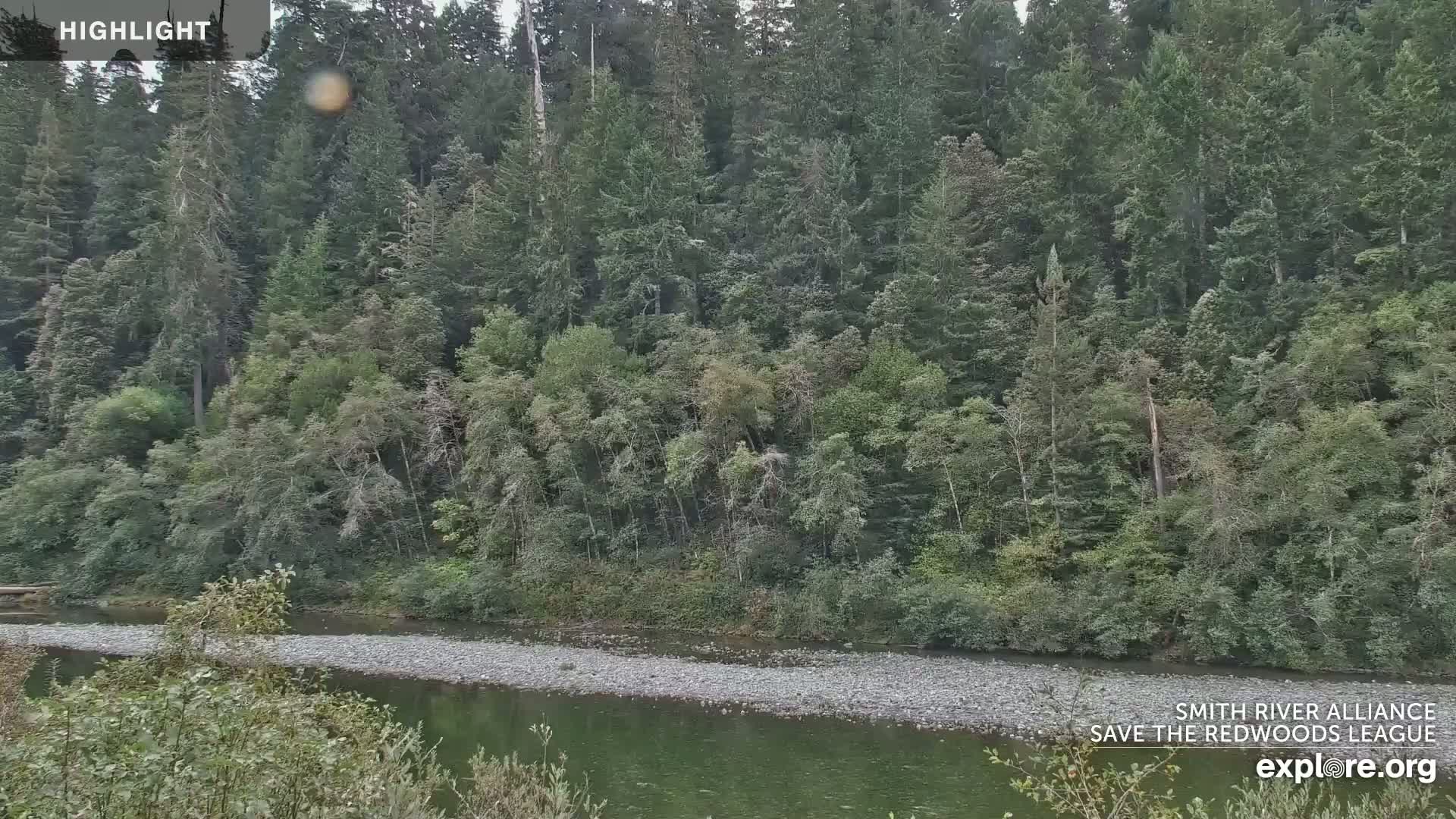 A calm river flows past a lush, green forest under an overcast sky.