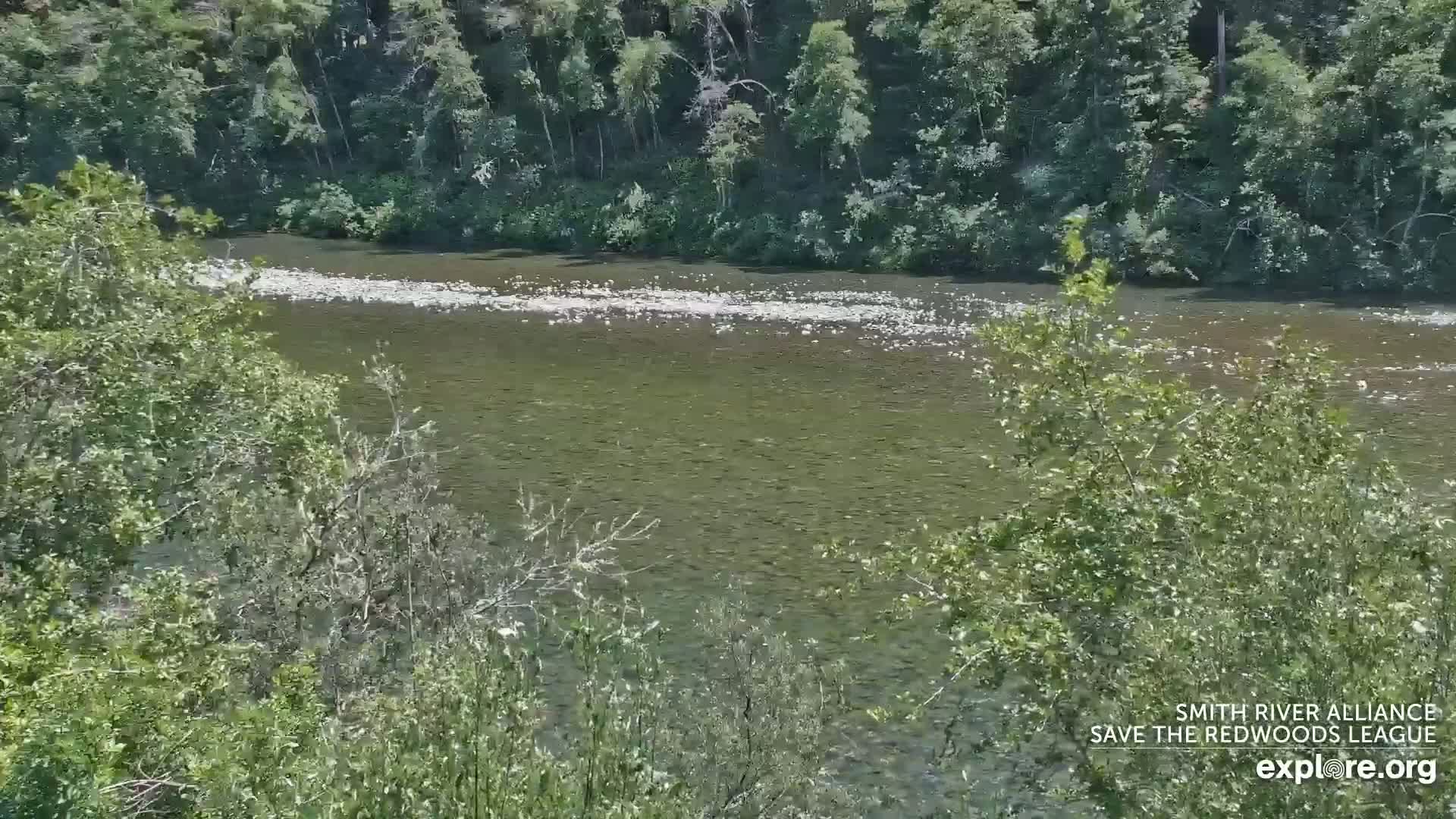 Crescent City, Jedediah Smith Redwoods State Park & Smith River Live Cam - Crescent City, Del Norte, California, USA