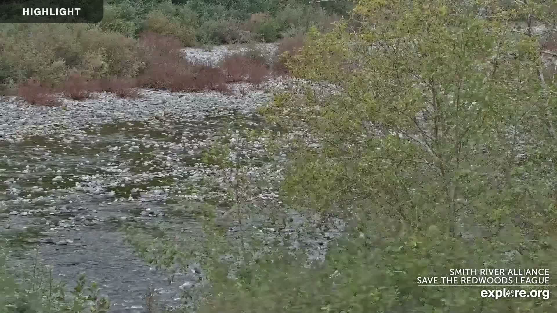 Crescent City, Jedediah Smith Redwoods State Park & Smith River Live Cam - Crescent City, Del Norte, California, USA