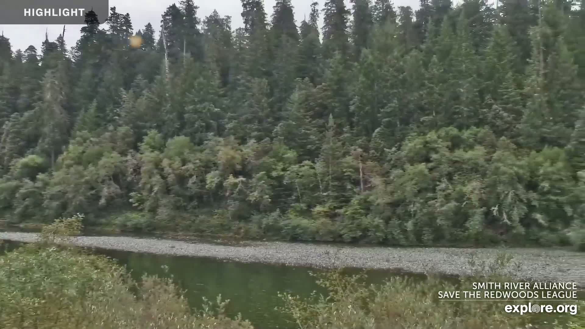 A calm river flows past a rocky bank, bordered by lush green vegetation and a dense forest under an overcast sky.