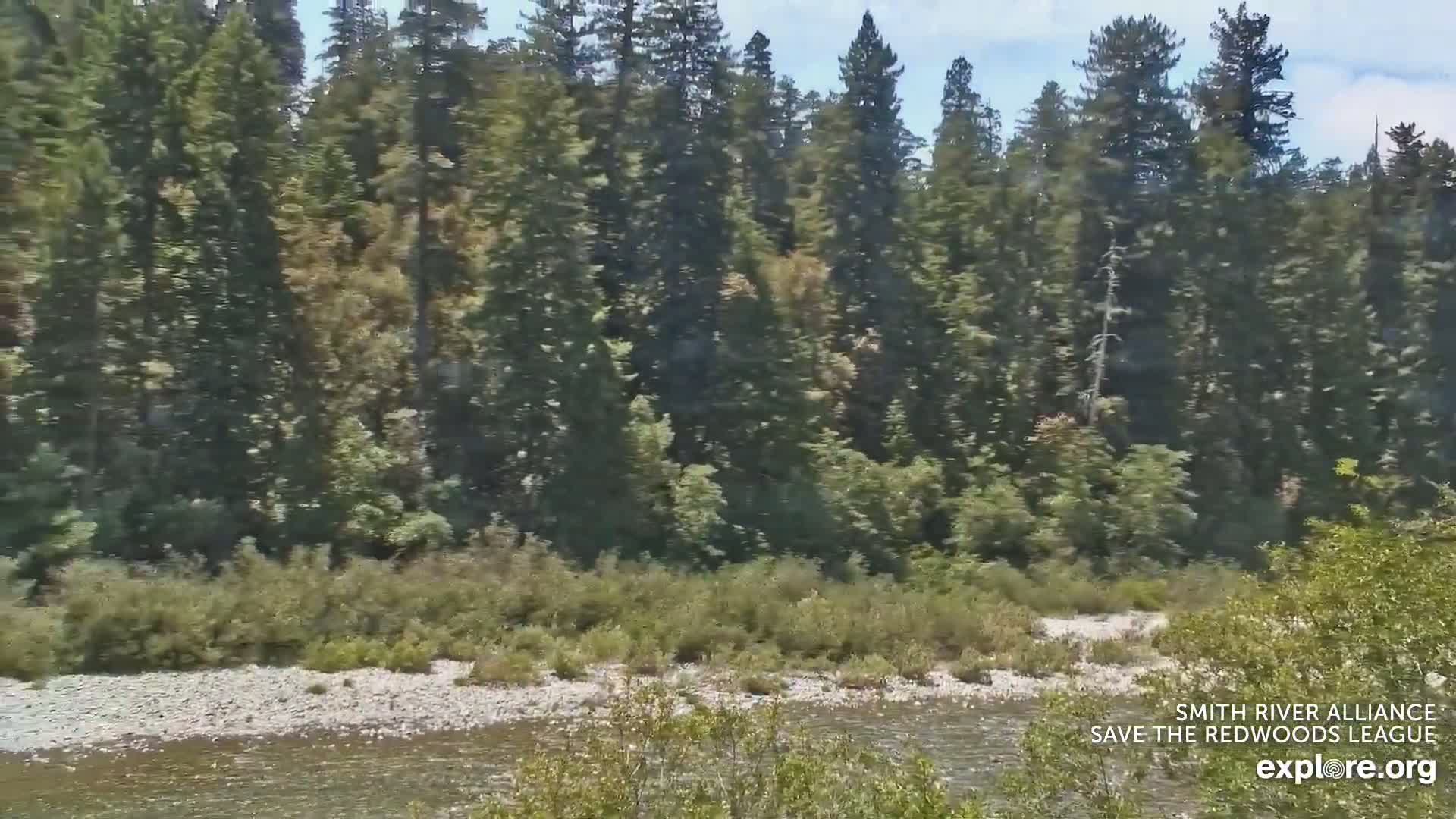 Crescent City, Jedediah Smith Redwoods State Park & Smith River Live Cam - Crescent City, Del Norte, California, USA