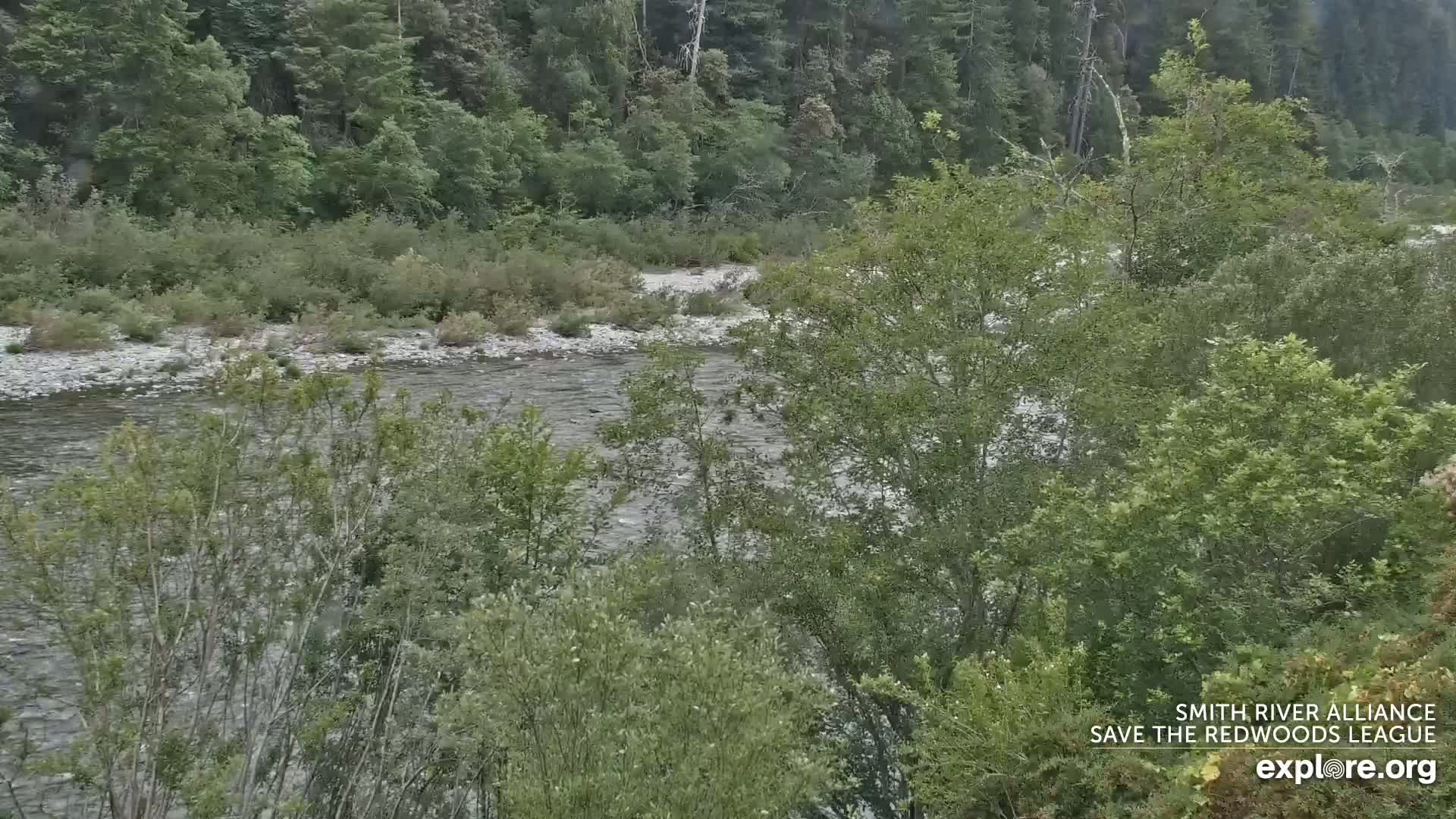 Crescent City, Jedediah Smith Redwoods State Park & Smith River Live Cam - Crescent City, Del Norte, California, USA