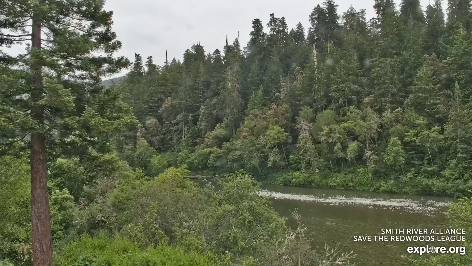 Crescent City, Jedediah Smith Redwoods State Park & Smith River Live Cam - Crescent City, Del Norte, California, USA