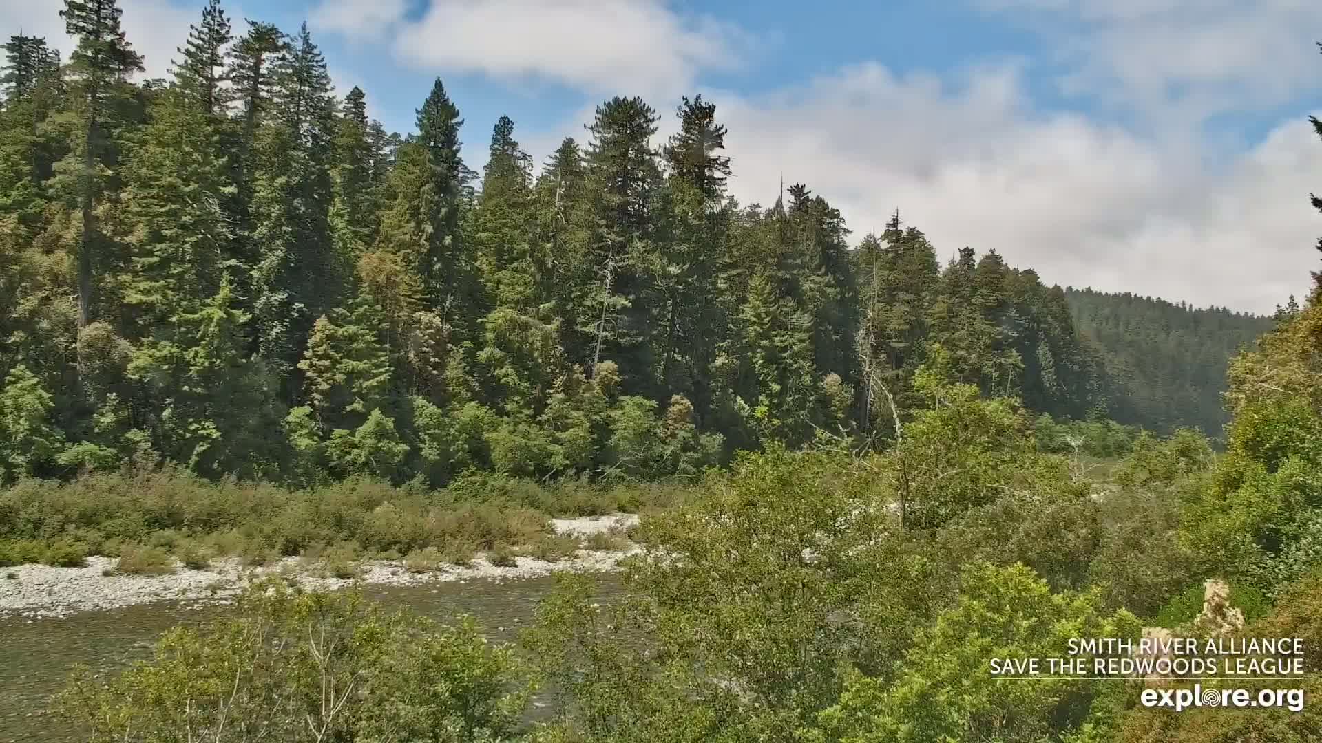 Crescent City, Jedediah Smith Redwoods State Park & Smith River Live Cam - Crescent City, Del Norte, California, USA