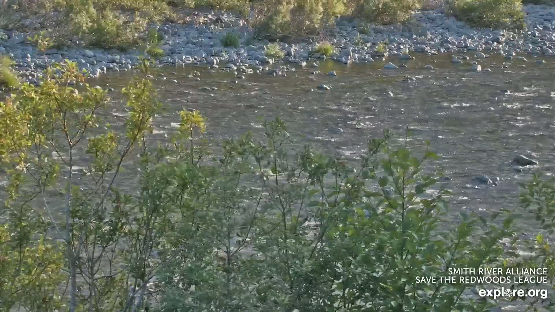 Crescent City, Jedediah Smith Redwoods State Park & Smith River Live Cam - Crescent City, Del Norte, California, USA