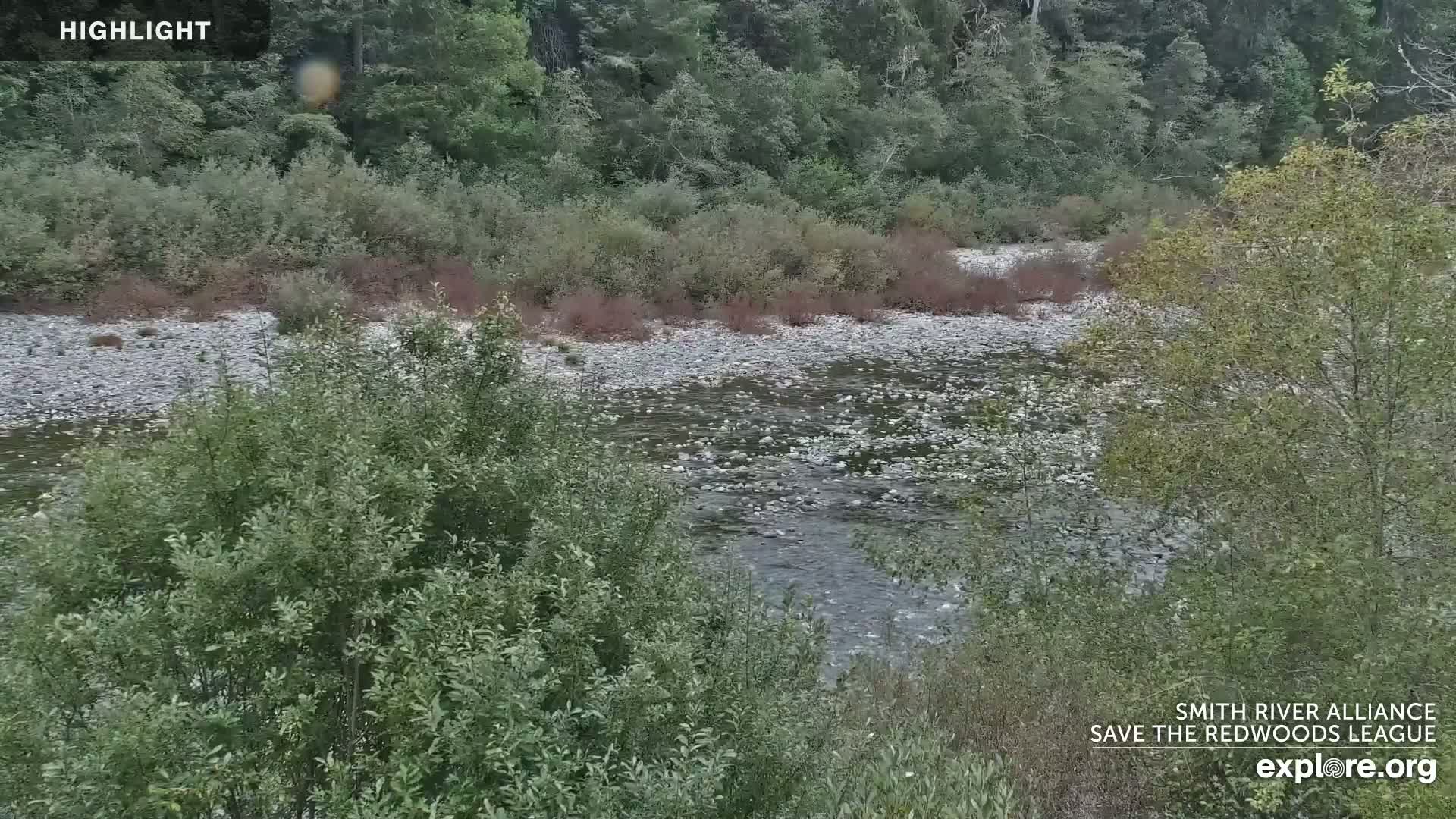 A rocky river flows through a lush green forest under an overcast sky.