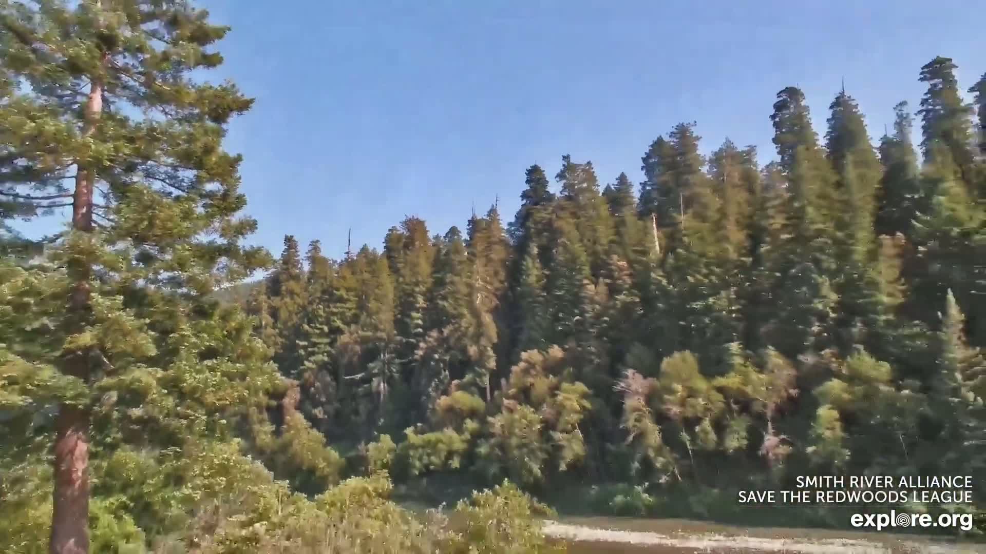 Crescent City, Jedediah Smith Redwoods State Park & Smith River Live Cam - Crescent City, Del Norte, California, USA