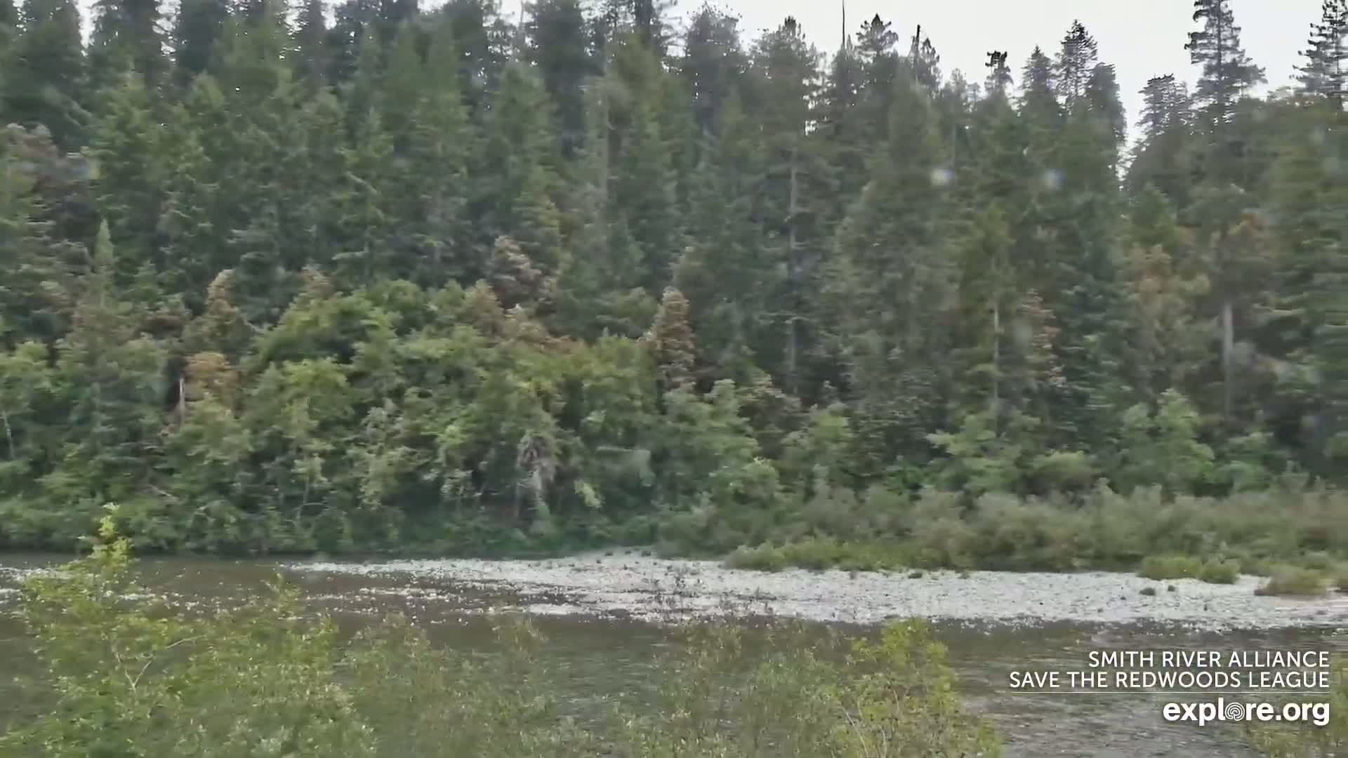 Crescent City, Jedediah Smith Redwoods State Park & Smith River Live Cam - Crescent City, Del Norte, California, USA