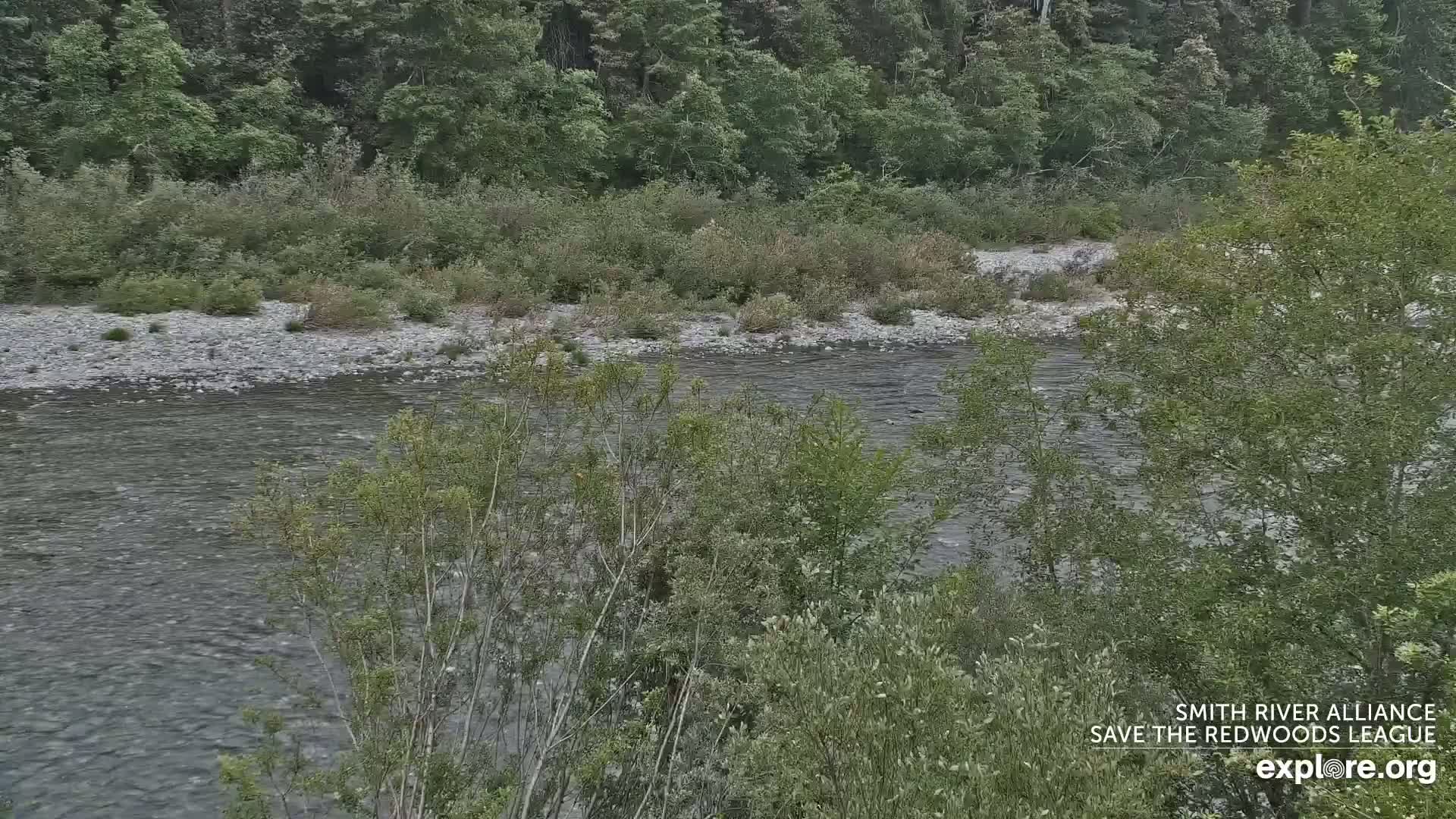 A calm river flows through a rocky riverbed, bordered by lush green vegetation and trees under an overcast sky.