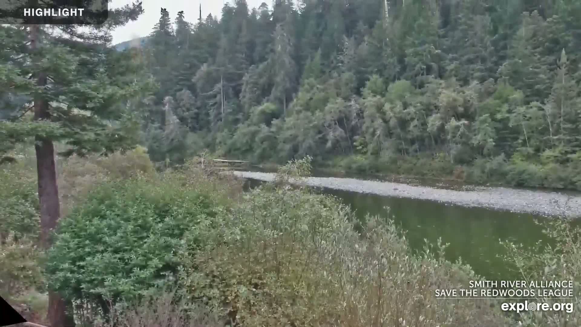 A calm river flows through a lush green forest on an overcast day.