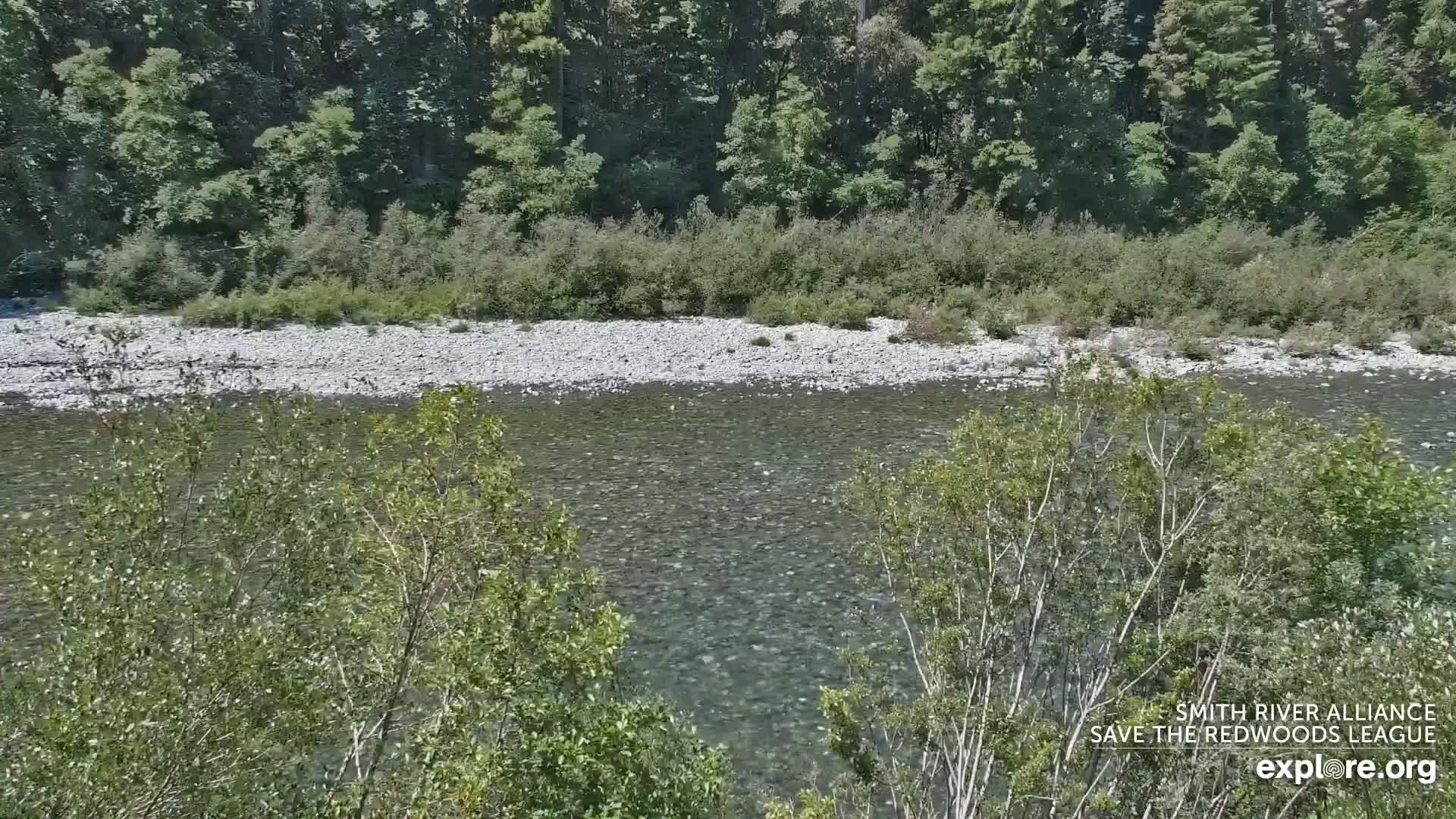A clear, shallow river flows through a rocky riverbed, bordered by lush green vegetation and trees under sunny skies.