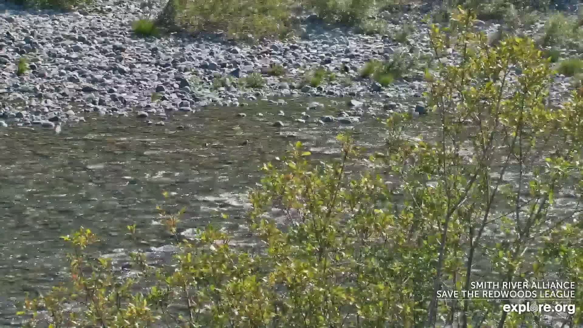 Crescent City, Jedediah Smith Redwoods State Park & Smith River Live Cam - Crescent City, Del Norte, California, USA