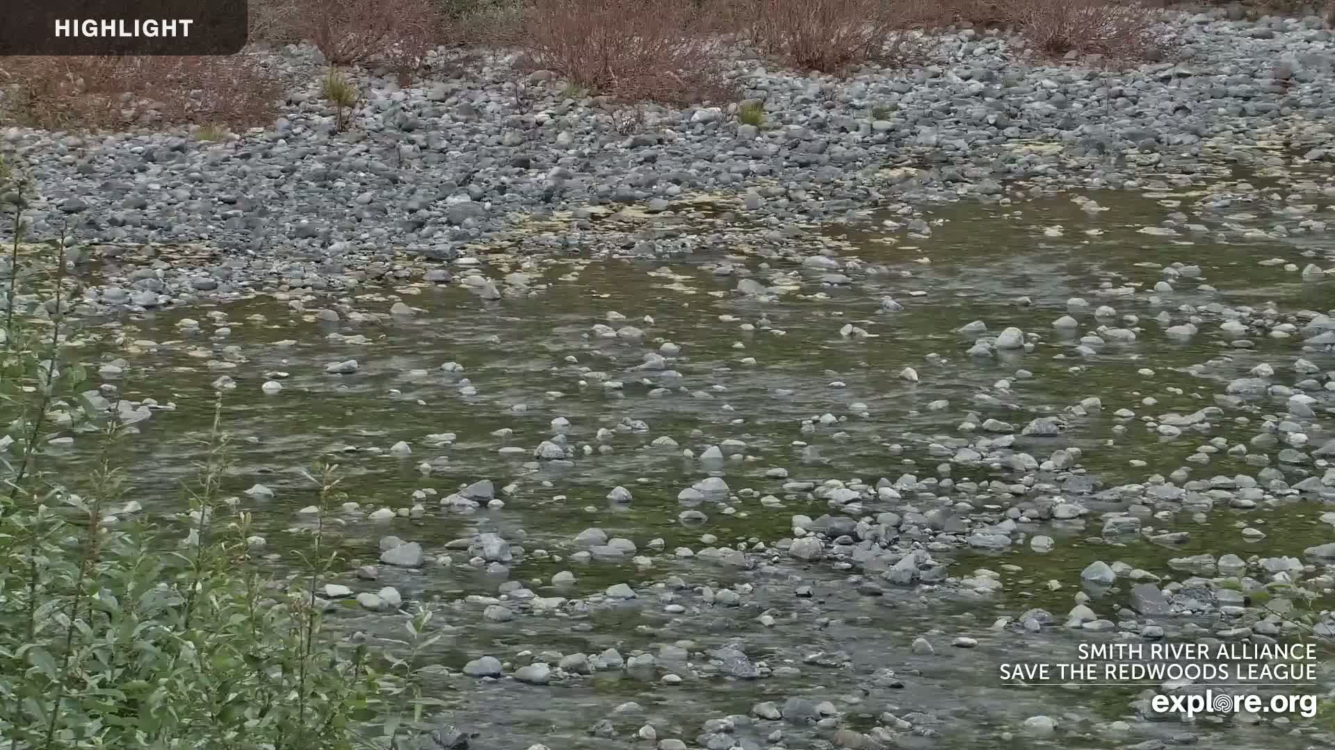 Crescent City, Jedediah Smith Redwoods State Park & Smith River Live Cam - Crescent City, Del Norte, California, USA