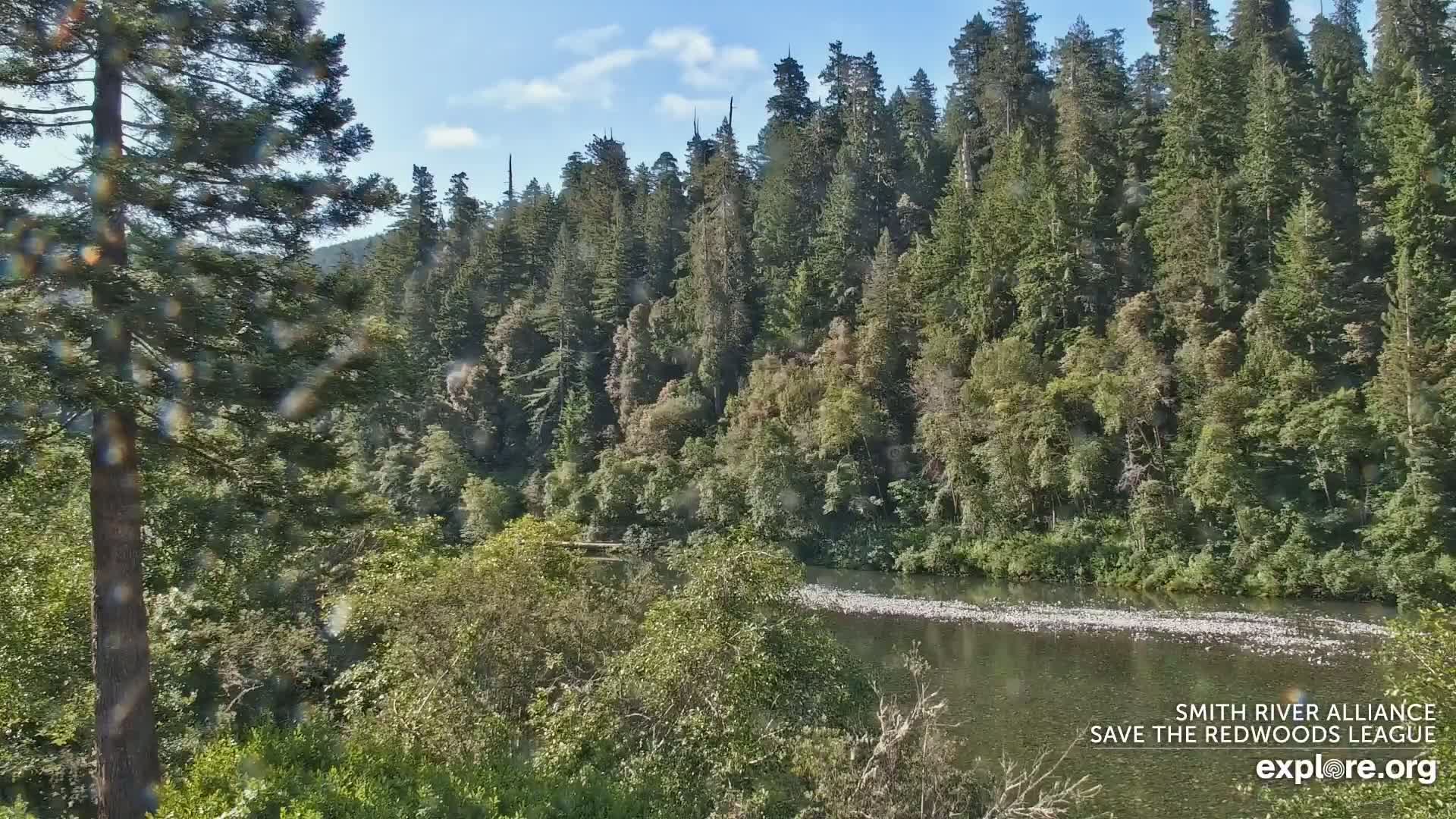 A river flows through a lush green forest on a partly sunny day, with some rain or water droplets visible on the camera lens.