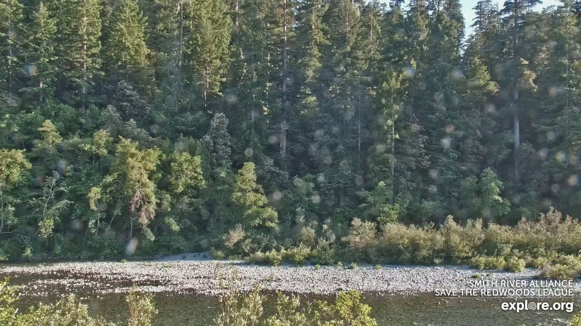 Crescent City, Jedediah Smith Redwoods State Park & Smith River Live Cam - Crescent City, Del Norte, California, USA