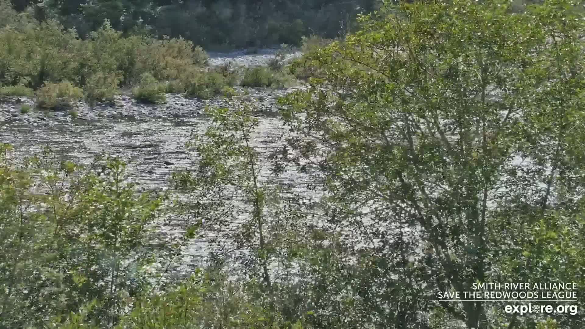 Crescent City, Jedediah Smith Redwoods State Park & Smith River Live Cam - Crescent City, Del Norte, California, USA