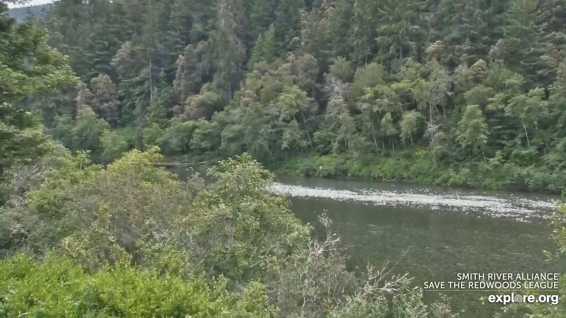 Crescent City, Jedediah Smith Redwoods State Park & Smith River Live Cam - Crescent City, Del Norte, California, USA