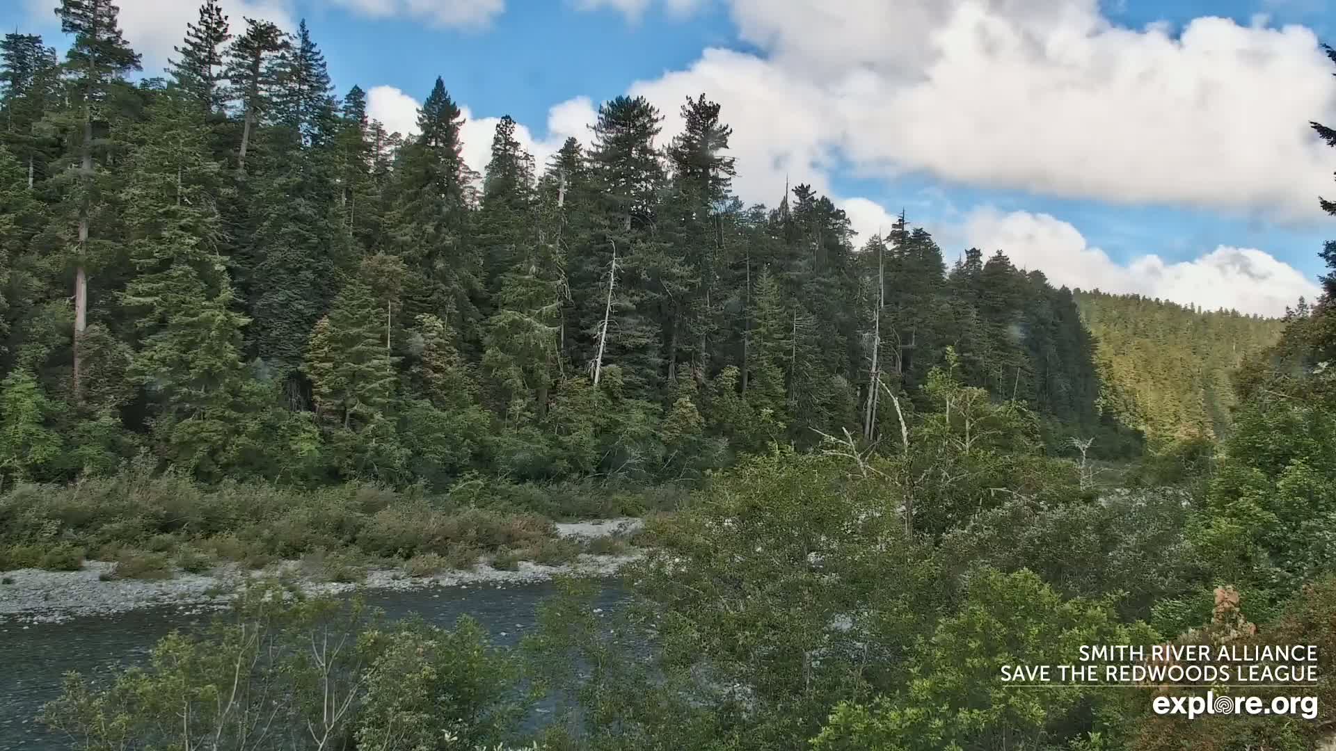 A calm river flows through a lush forest of tall evergreen trees under a partly cloudy sky.