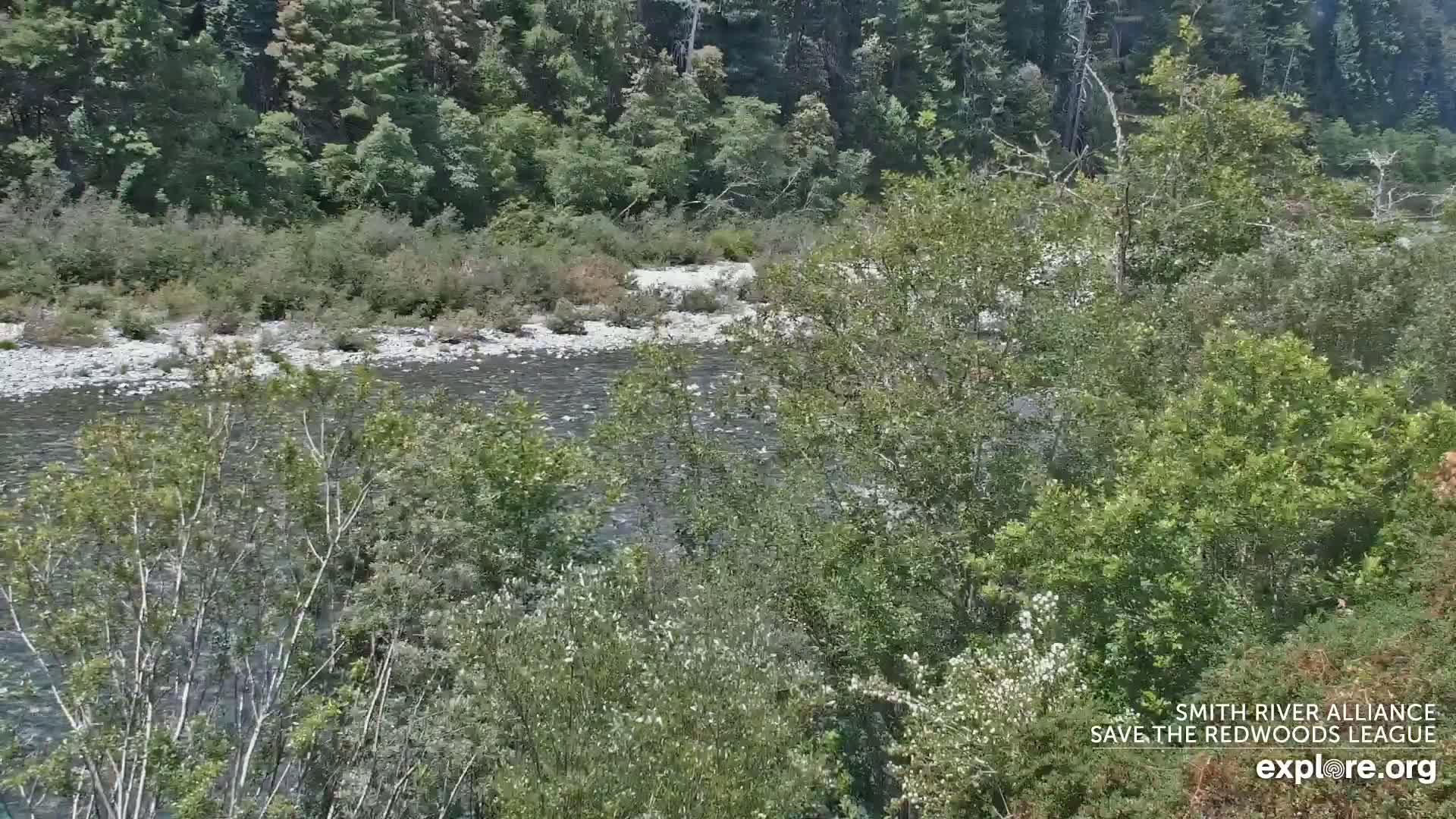 A rocky river flows through a lush green landscape under a clear sky.