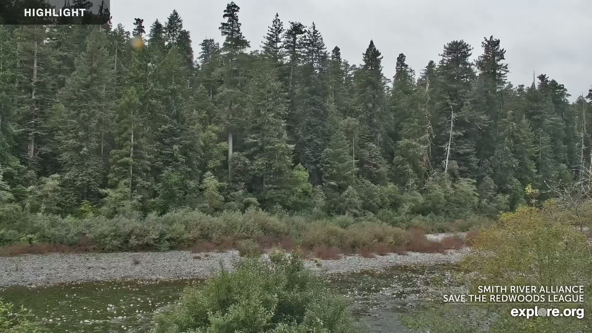 Crescent City, Jedediah Smith Redwoods State Park & Smith River Live Cam - Crescent City, Del Norte, California, USA