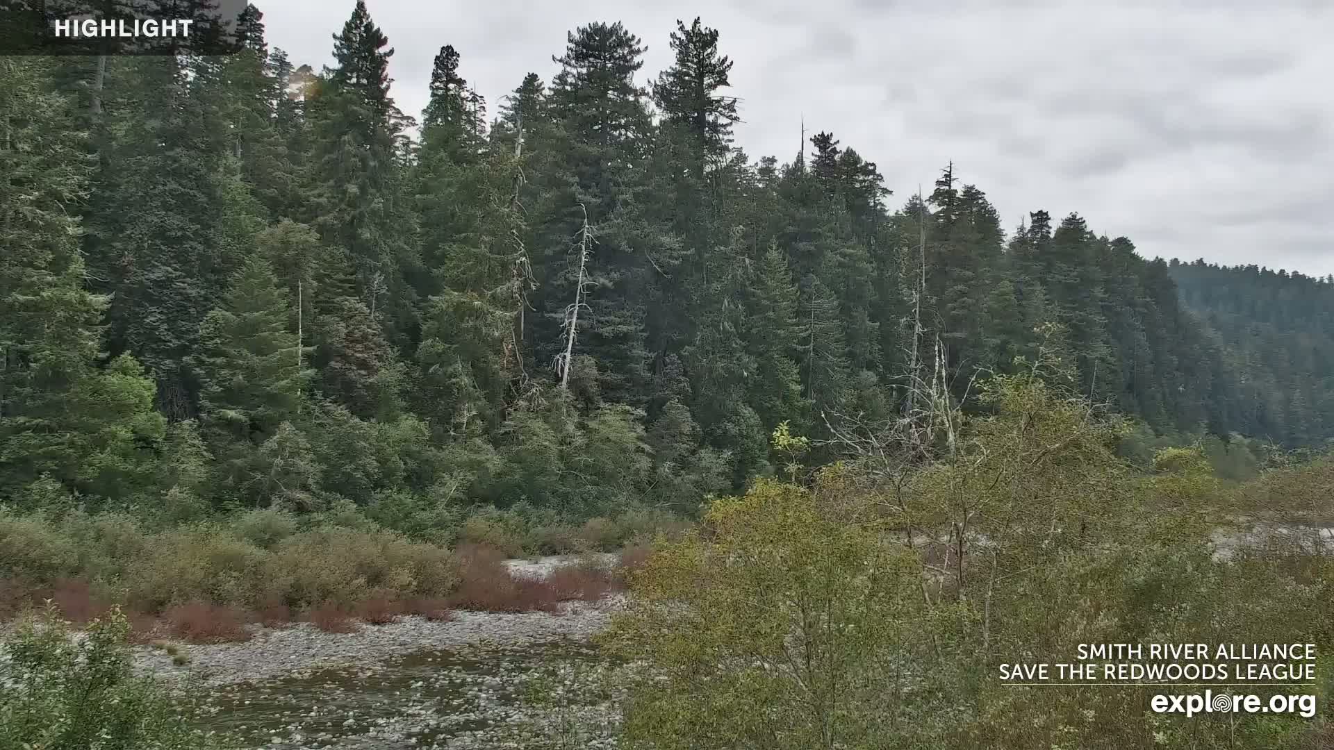 Crescent City, Jedediah Smith Redwoods State Park & Smith River Live Cam - Crescent City, Del Norte, California, USA