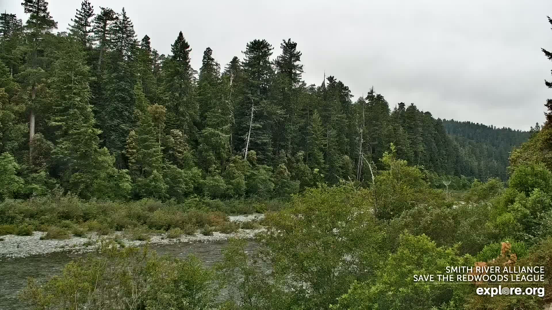 Crescent City, Jedediah Smith Redwoods State Park & Smith River Live Cam - Crescent City, Del Norte, California, USA