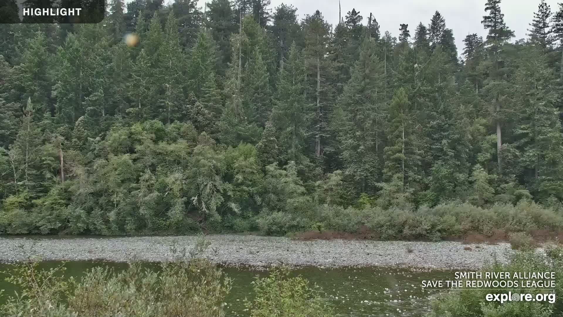 Crescent City, Jedediah Smith Redwoods State Park & Smith River Live Cam - Crescent City, Del Norte, California, USA