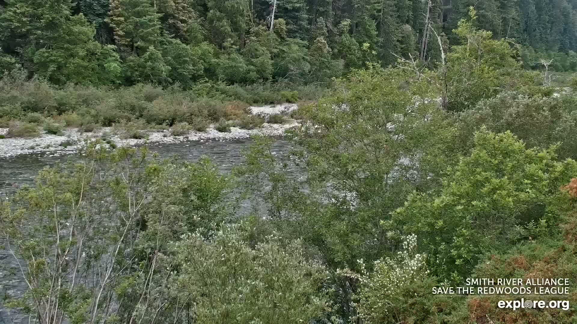 Crescent City, Jedediah Smith Redwoods State Park & Smith River Live Cam - Crescent City, Del Norte, California, USA