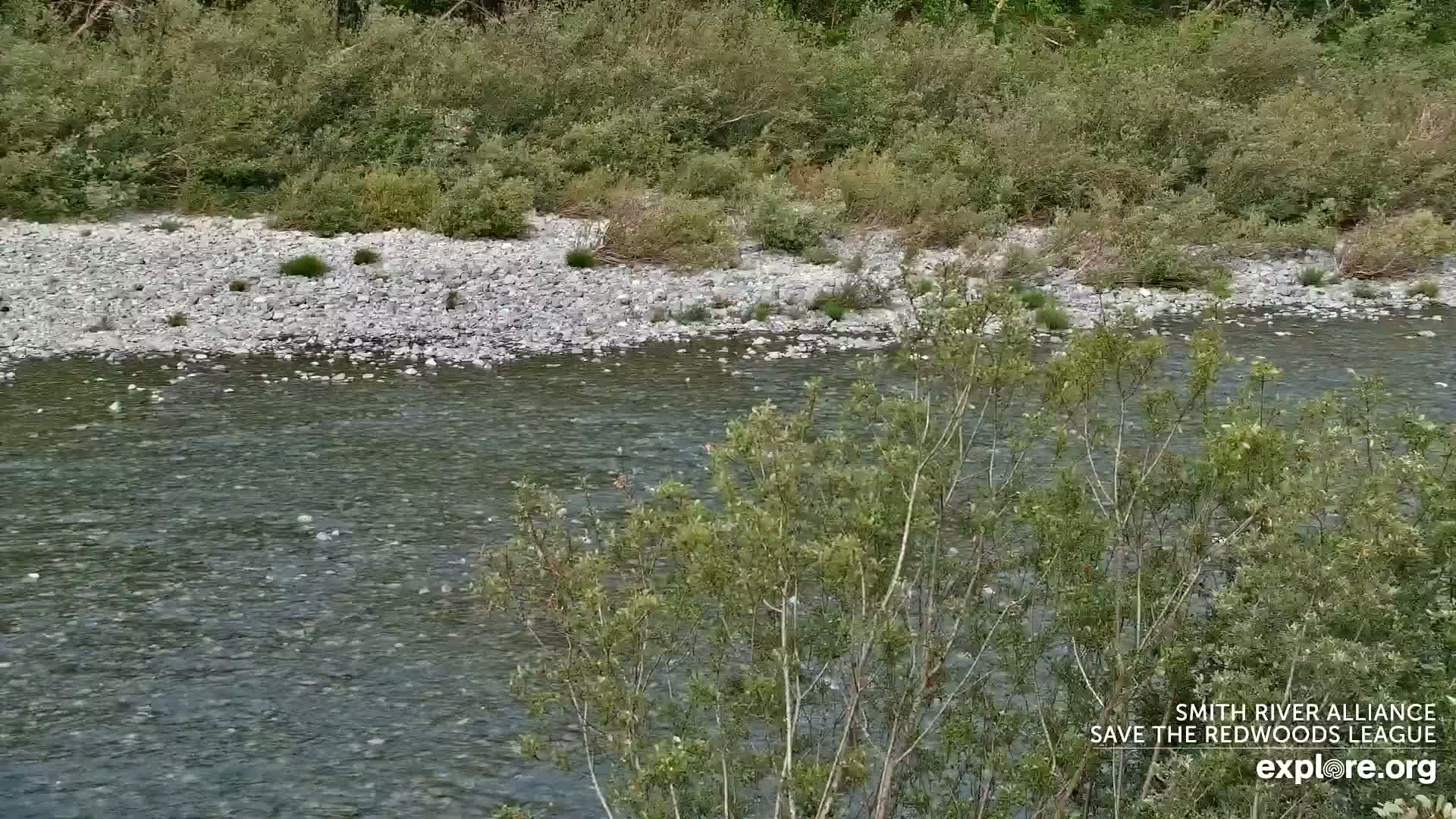 Crescent City, Jedediah Smith Redwoods State Park & Smith River Live Cam - Crescent City, Del Norte, California, USA