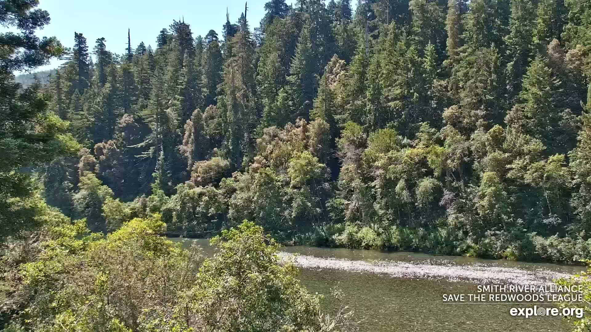 Crescent City, Jedediah Smith Redwoods State Park & Smith River Live Cam - Crescent City, Del Norte, California, USA