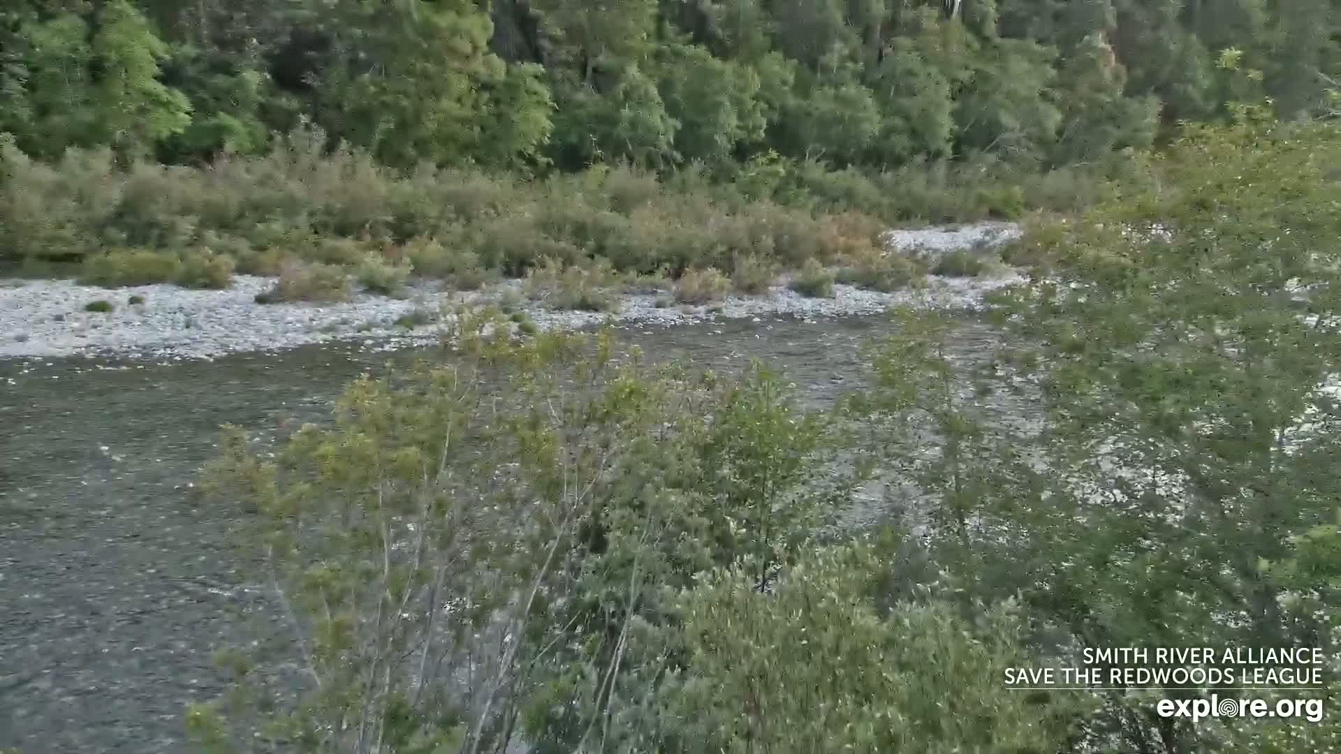 Crescent City, Jedediah Smith Redwoods State Park & Smith River Live Cam - Crescent City, Del Norte, California, USA