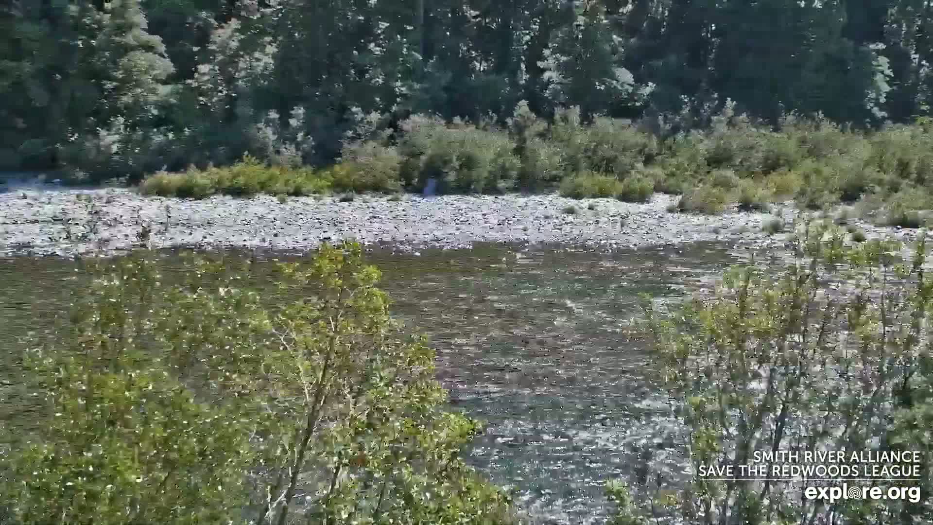 Crescent City, Jedediah Smith Redwoods State Park & Smith River Live Cam - Crescent City, Del Norte, California, USA