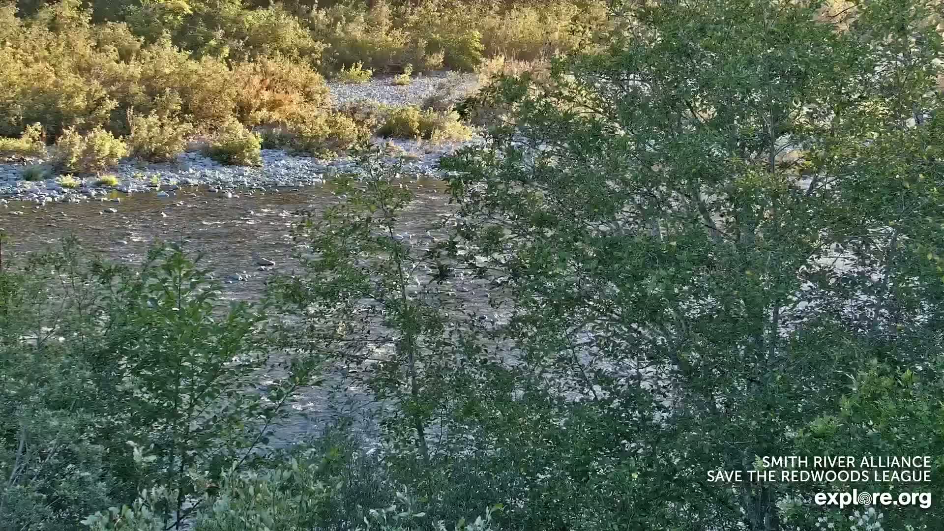 Crescent City, Jedediah Smith Redwoods State Park & Smith River Live Cam - Crescent City, Del Norte, California, USA