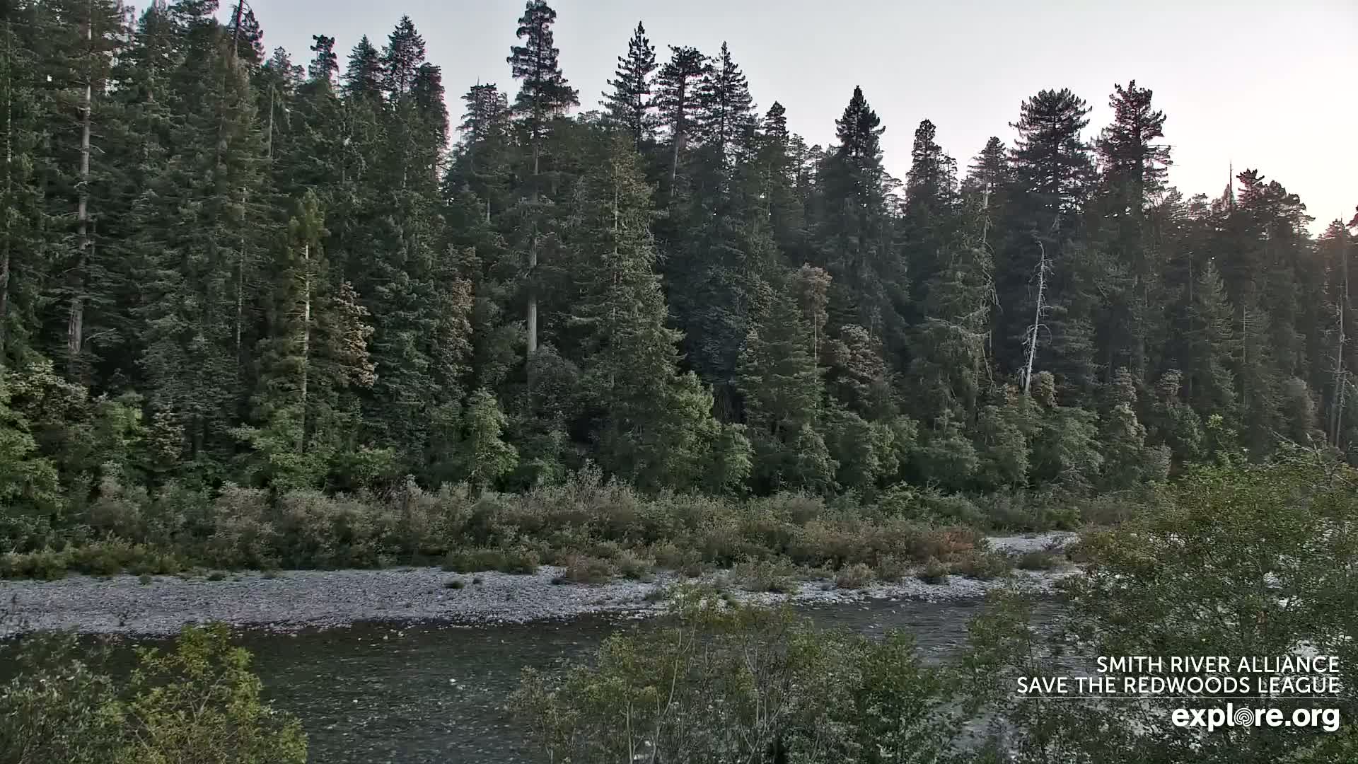 Crescent City, Jedediah Smith Redwoods State Park & Smith River Live Cam - Crescent City, Del Norte, California, USA