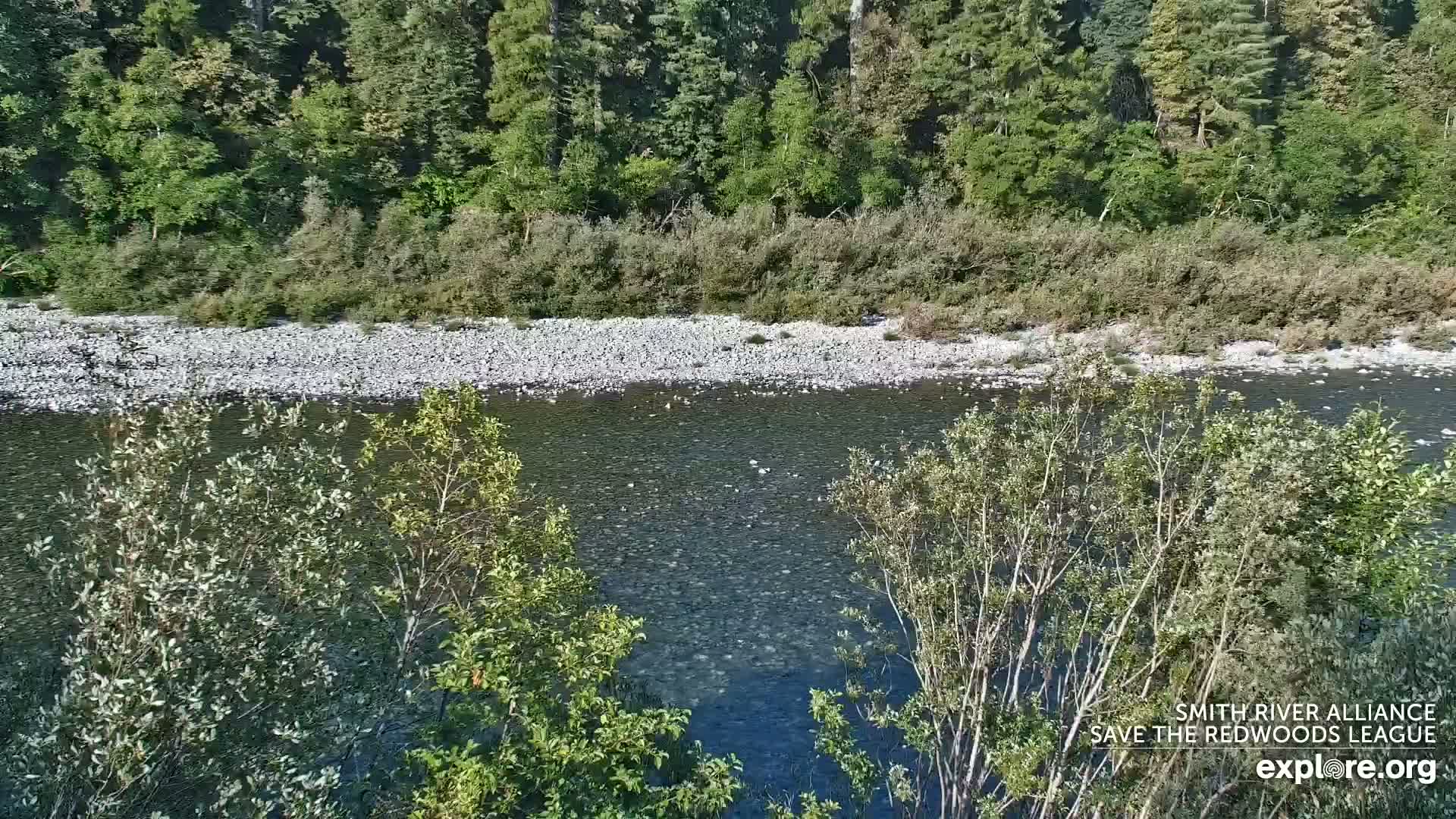 Crescent City, Jedediah Smith Redwoods State Park & Smith River Live Cam - Crescent City, Del Norte, California, USA