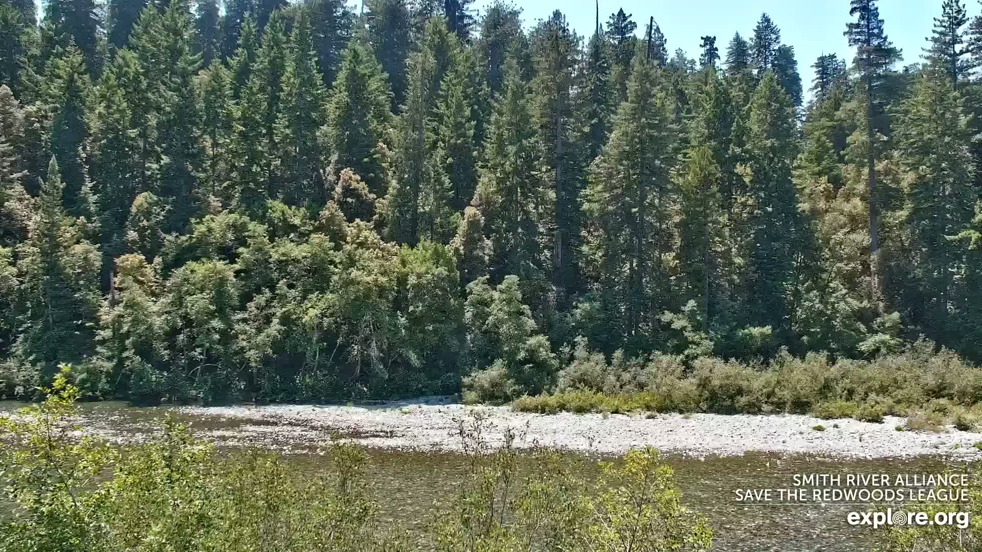 Crescent City, Jedediah Smith Redwoods State Park & Smith River Live Cam - Crescent City, Del Norte, California, USA
