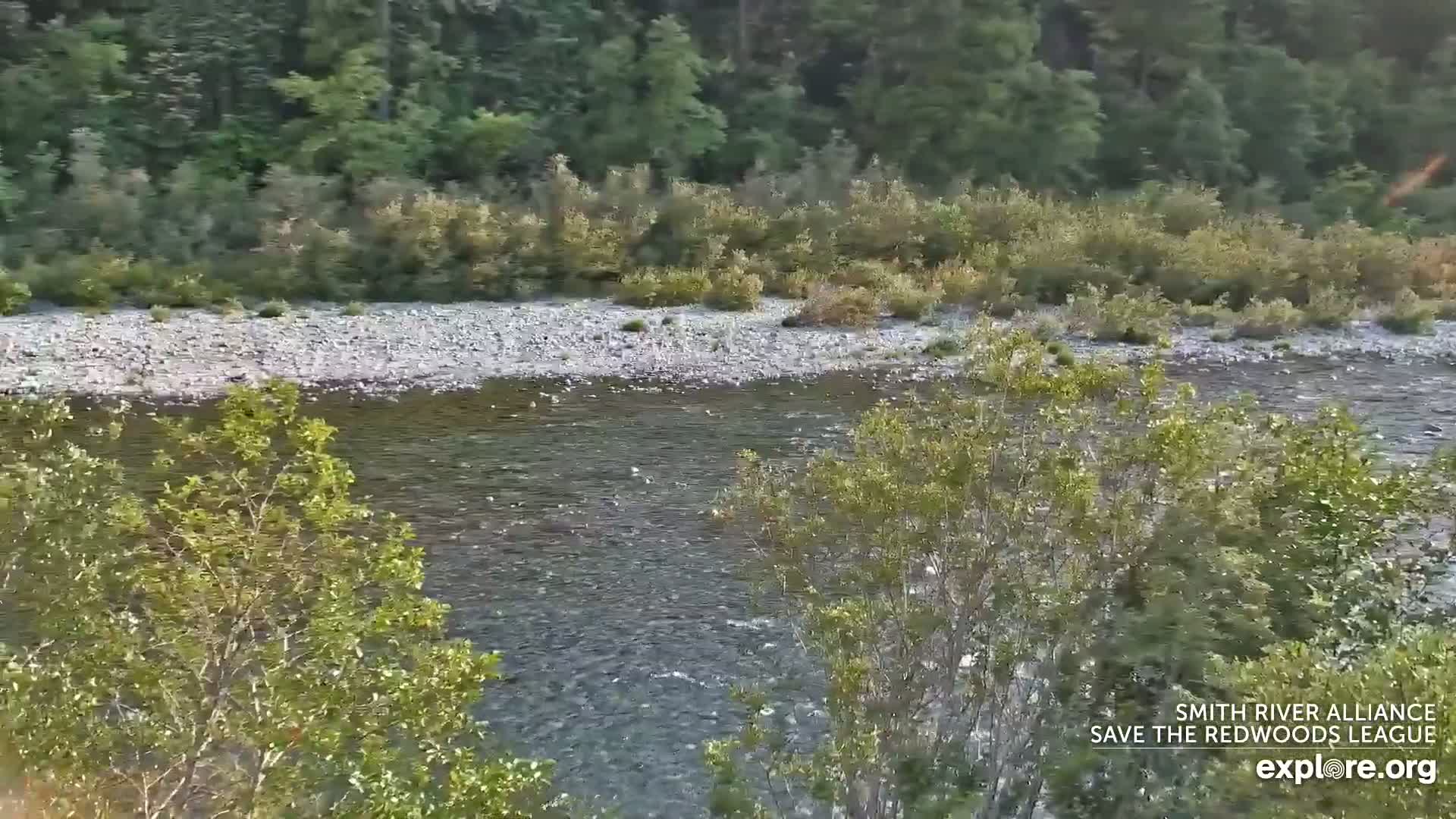 Crescent City, Jedediah Smith Redwoods State Park & Smith River Live Cam - Crescent City, Del Norte, California, USA
