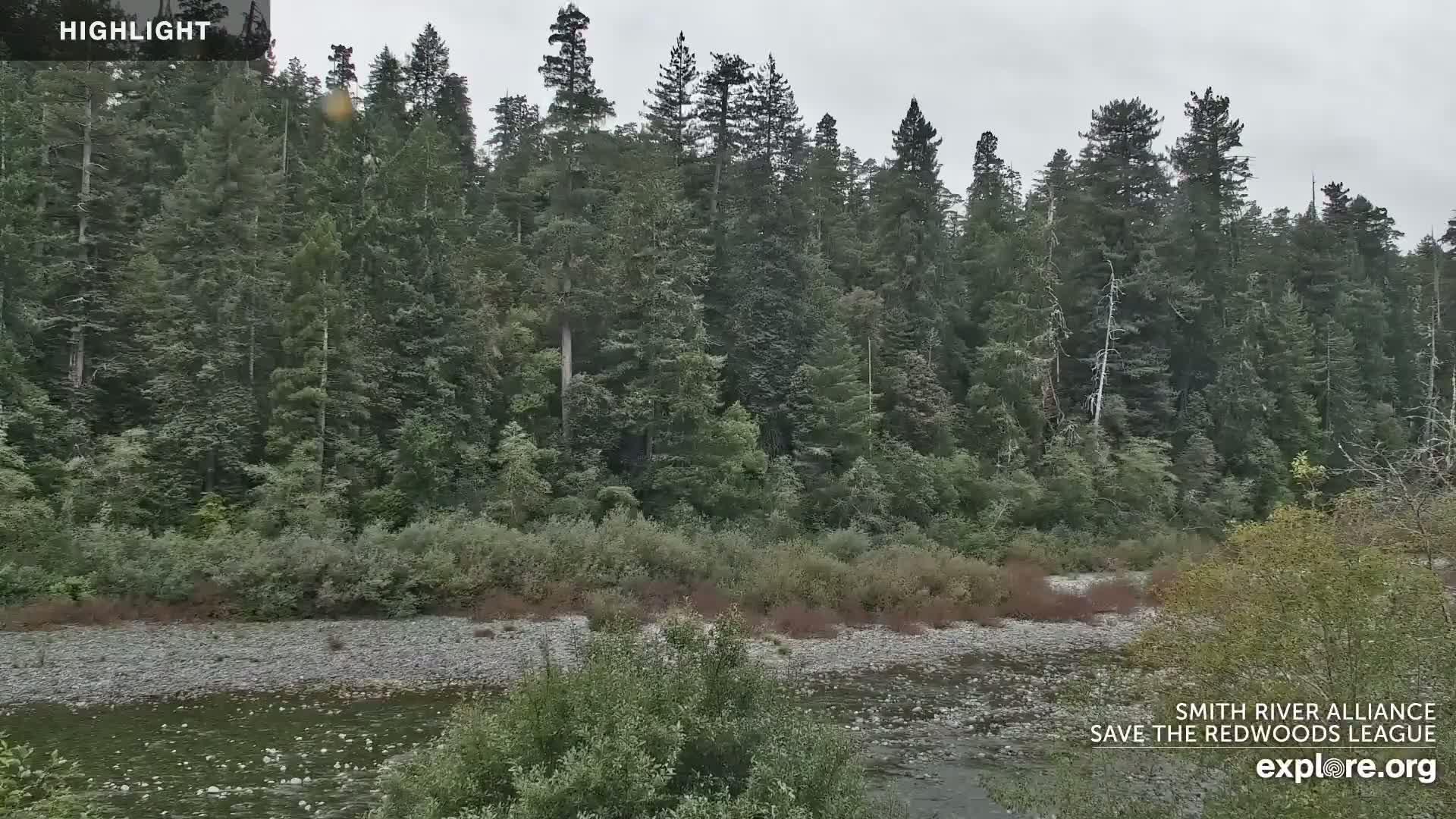 Crescent City, Jedediah Smith Redwoods State Park & Smith River Live Cam - Crescent City, Del Norte, California, USA