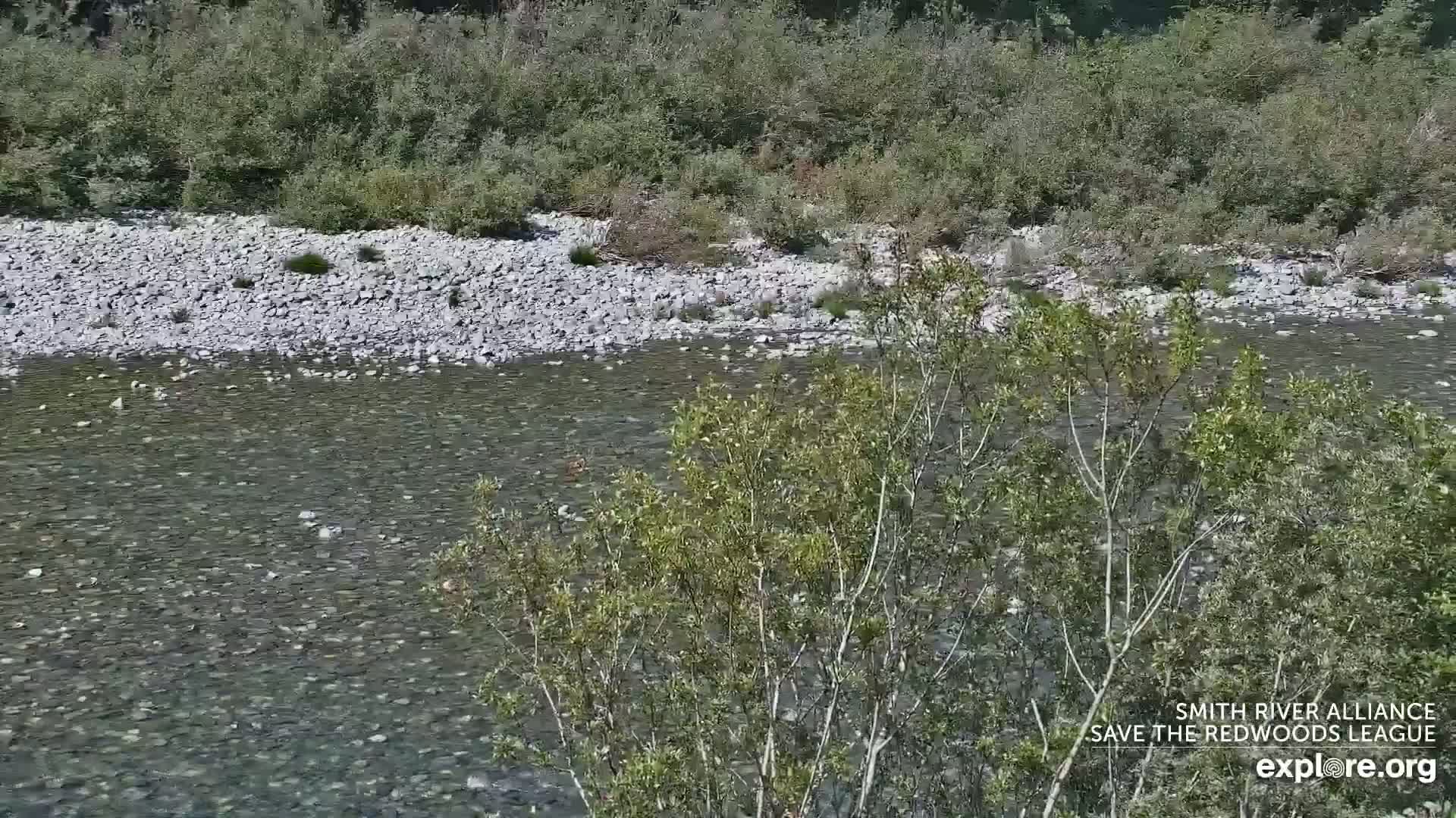 Crescent City, Jedediah Smith Redwoods State Park & Smith River Live Cam - Crescent City, Del Norte, California, USA