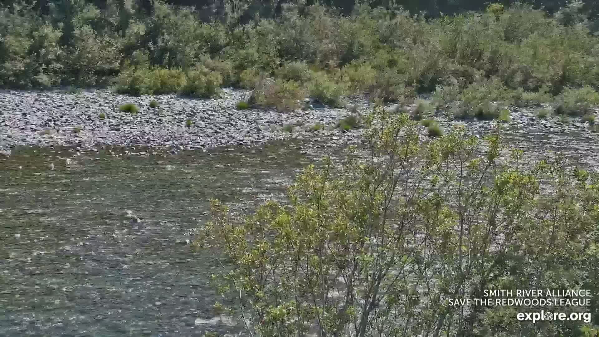 Crescent City, Jedediah Smith Redwoods State Park & Smith River Live Cam - Crescent City, Del Norte, California, USA