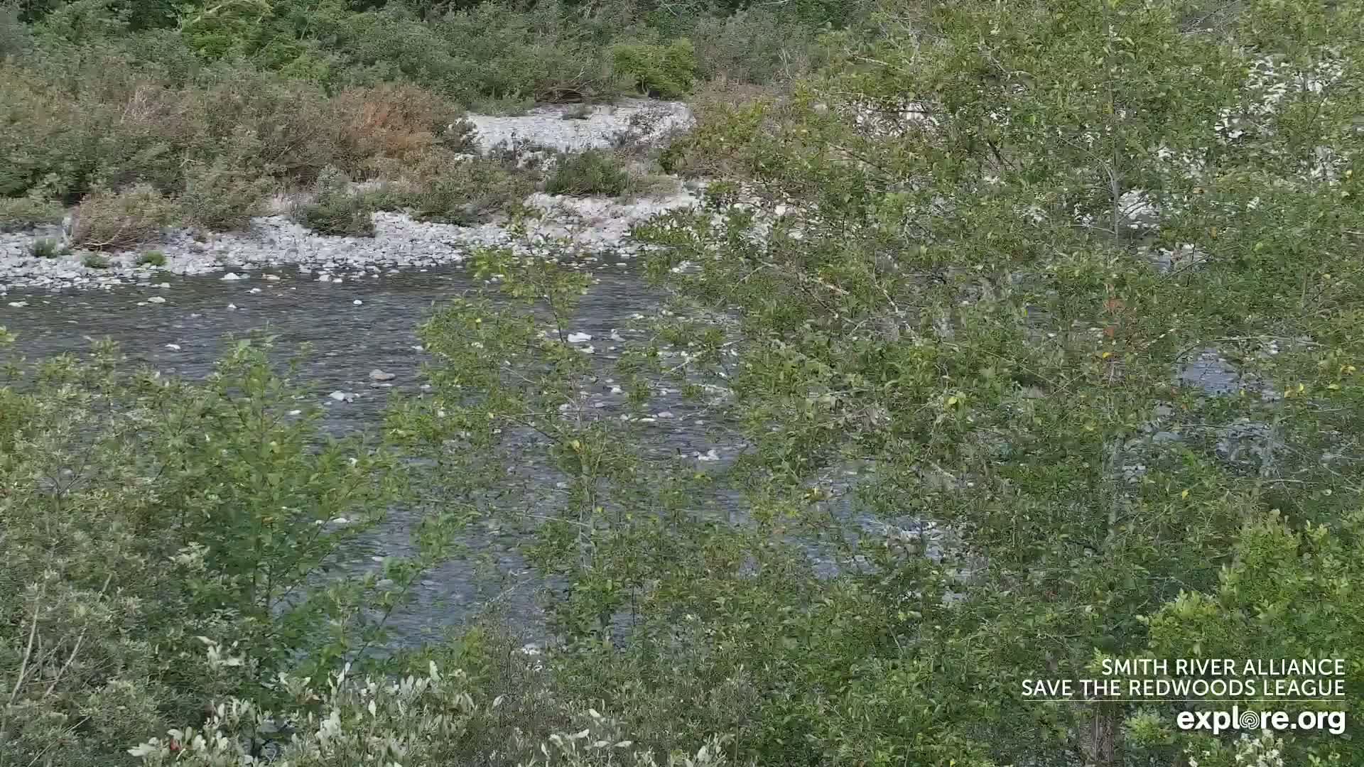 Crescent City, Jedediah Smith Redwoods State Park & Smith River Live Cam - Crescent City, Del Norte, California, USA