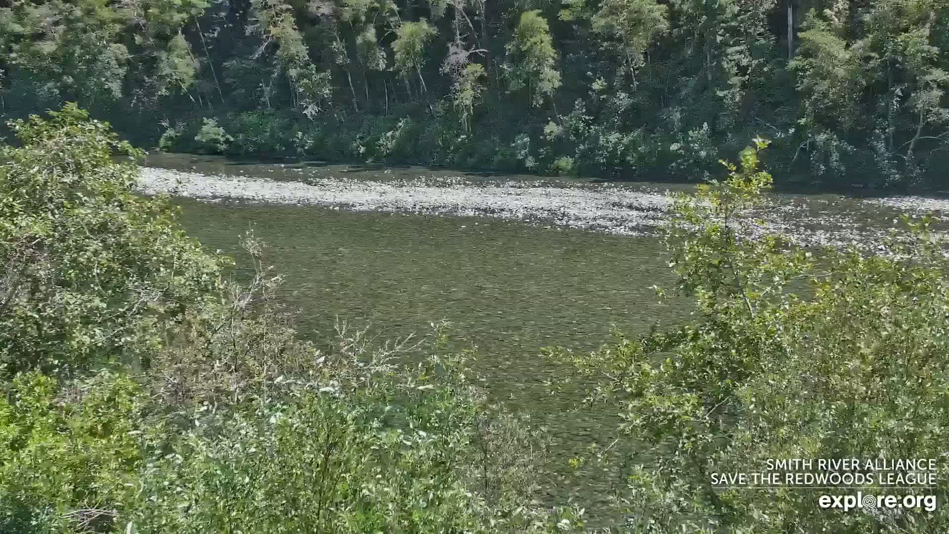 Crescent City, Jedediah Smith Redwoods State Park & Smith River Live Cam - Crescent City, Del Norte, California, USA