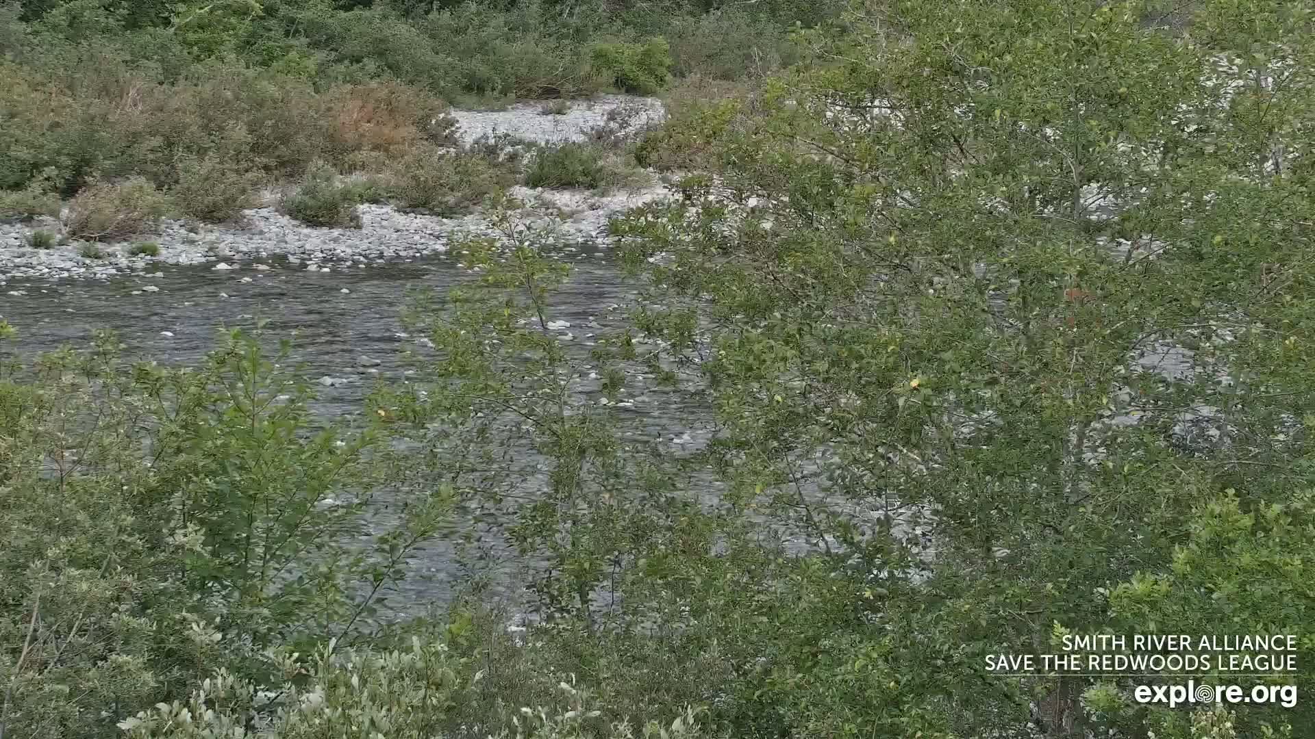 A rocky river flows gently through a lush green landscape.