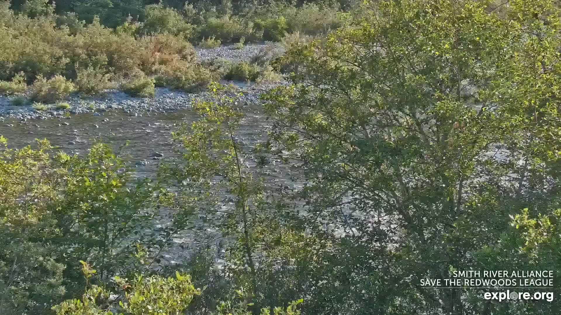 Crescent City, Jedediah Smith Redwoods State Park & Smith River Live Cam - Crescent City, Del Norte, California, USA